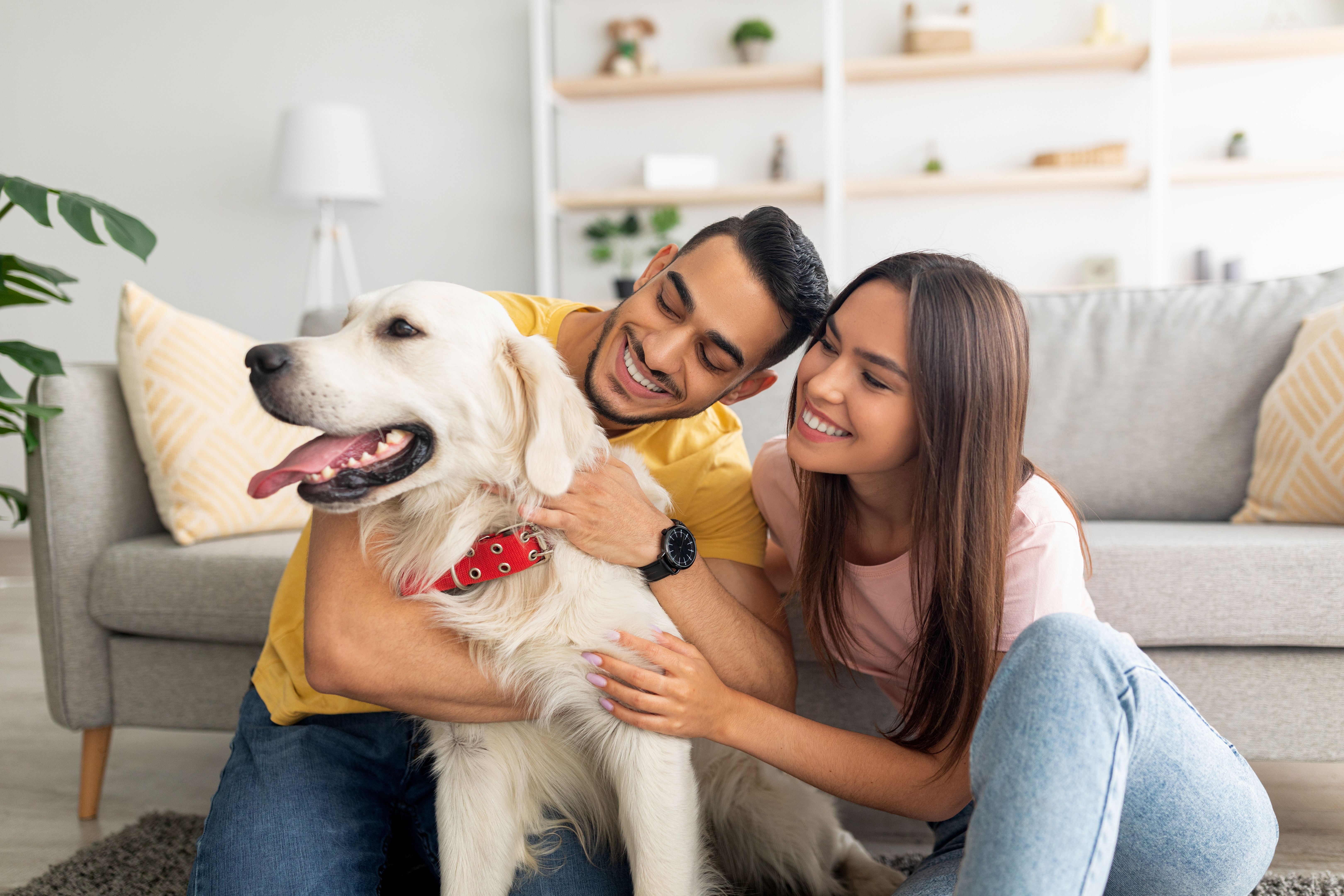 happy pet