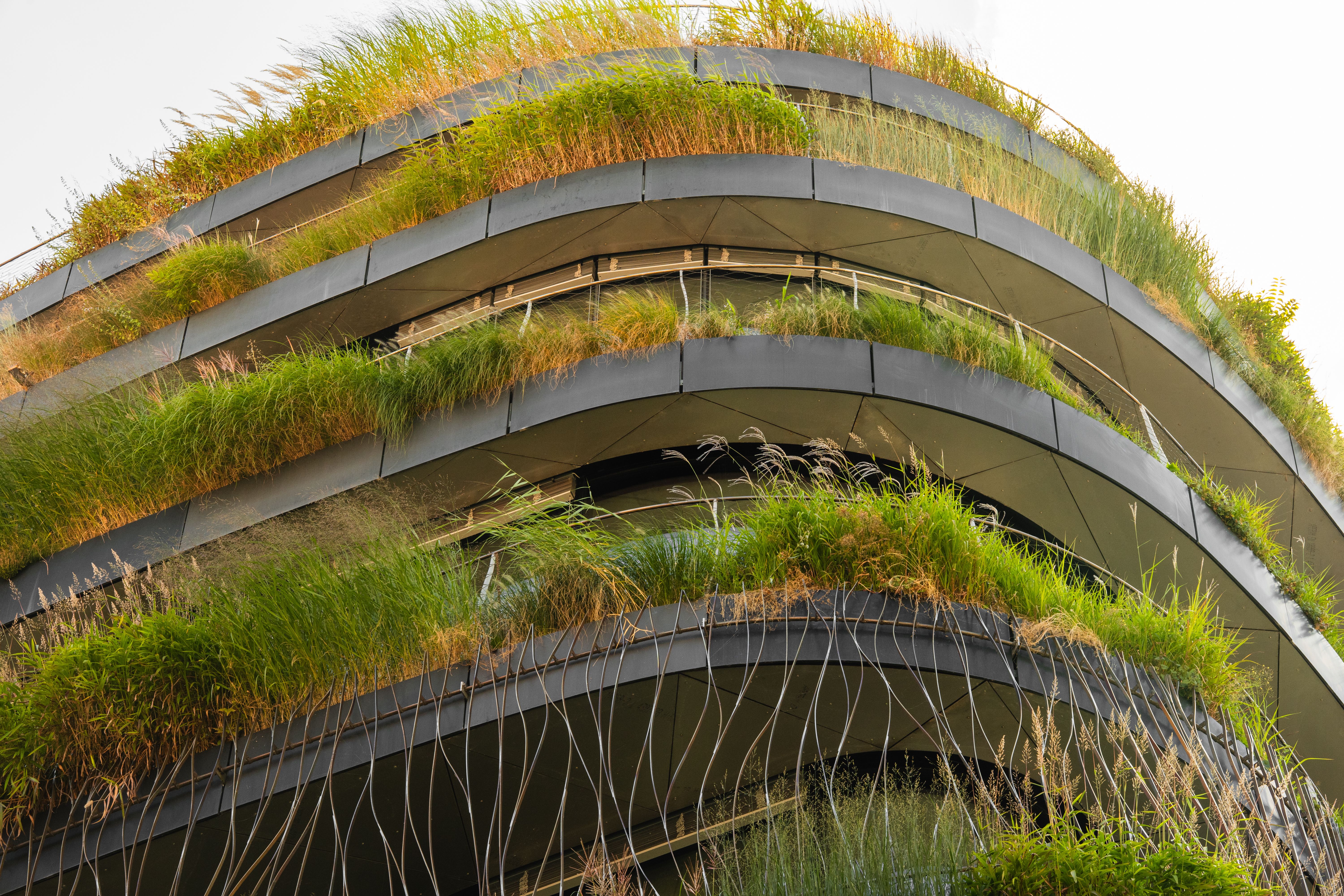 sustainable architecture