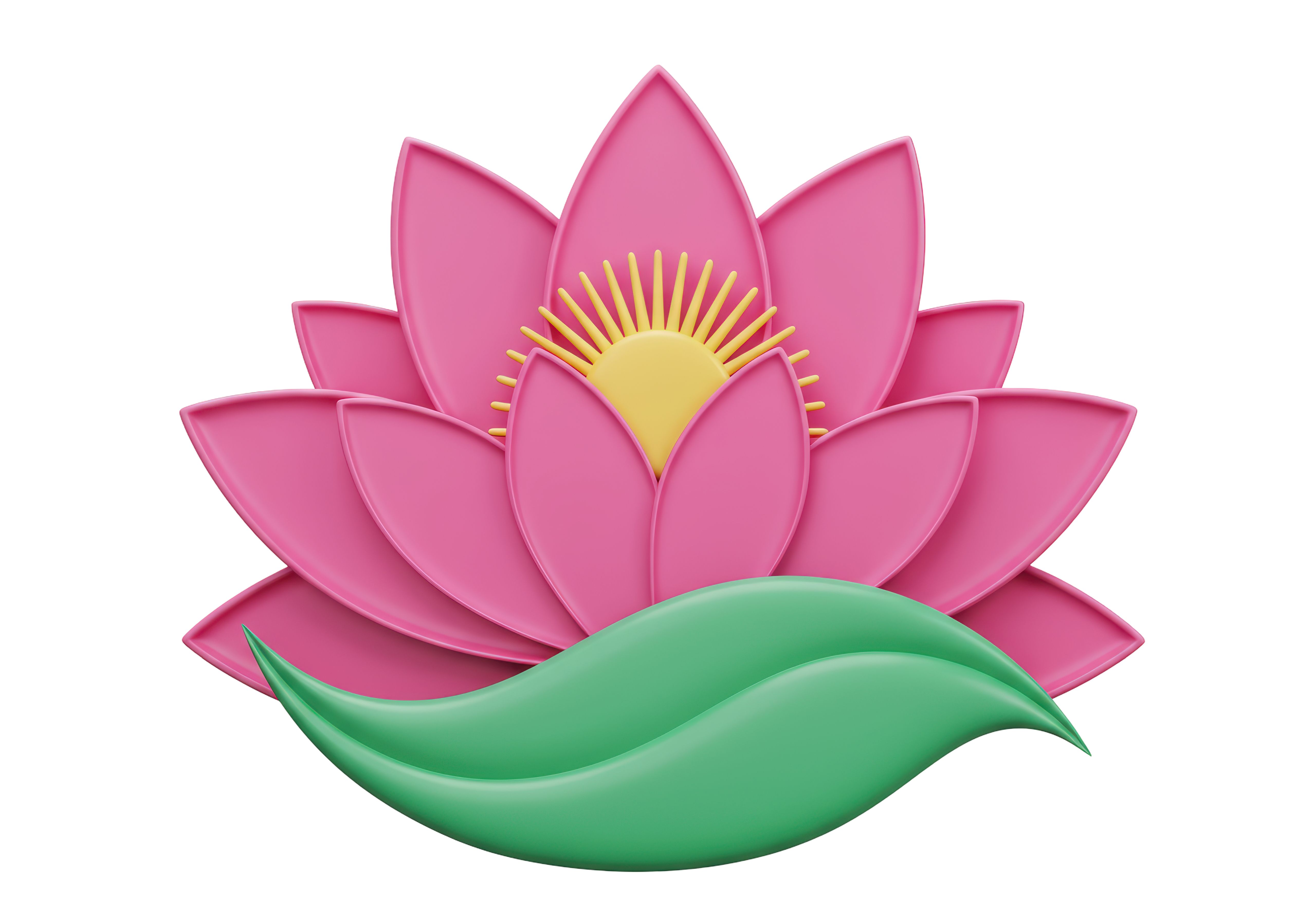 lotus flower