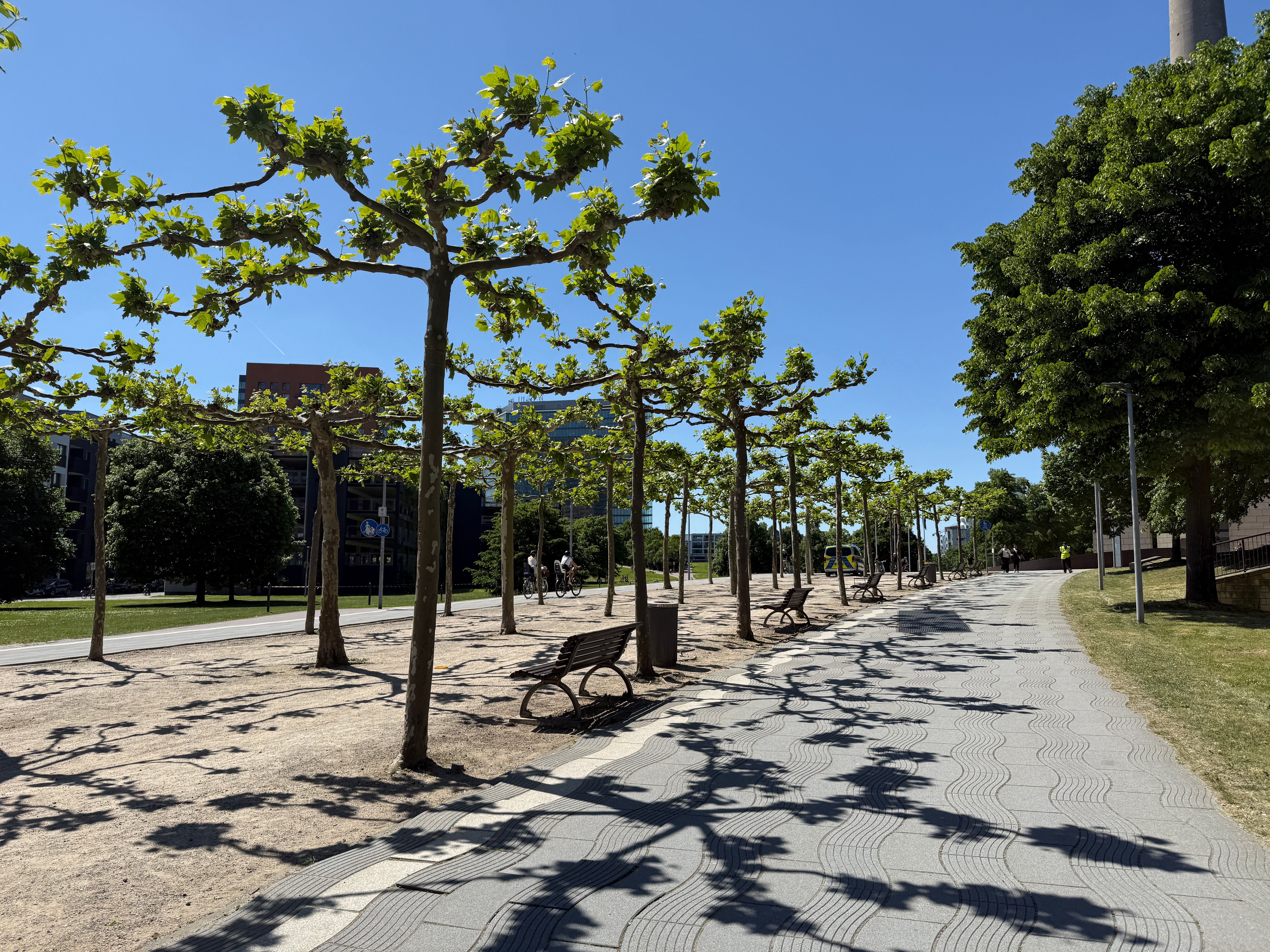 dusseldorf park