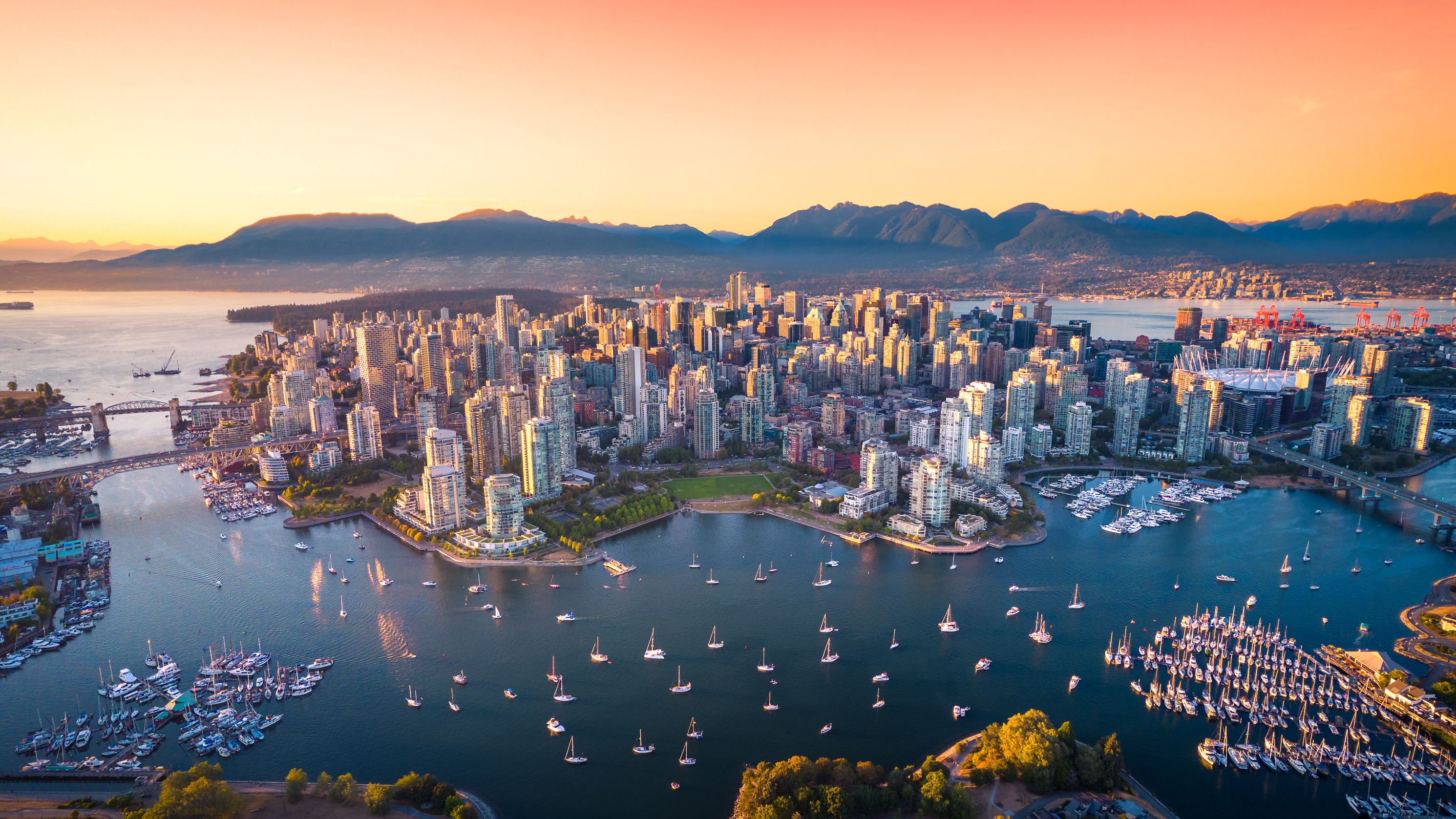 city skyline