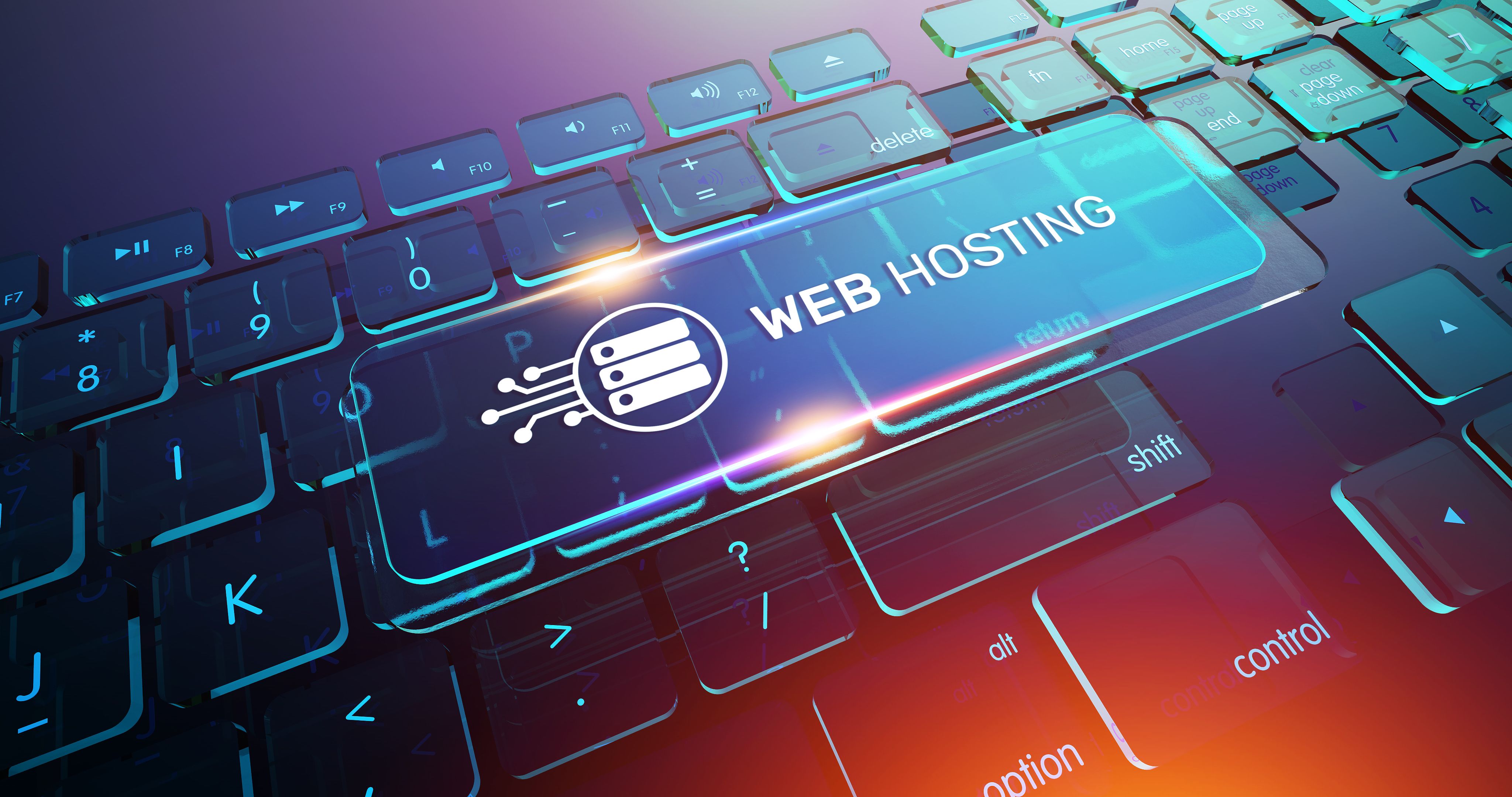 web hosting options