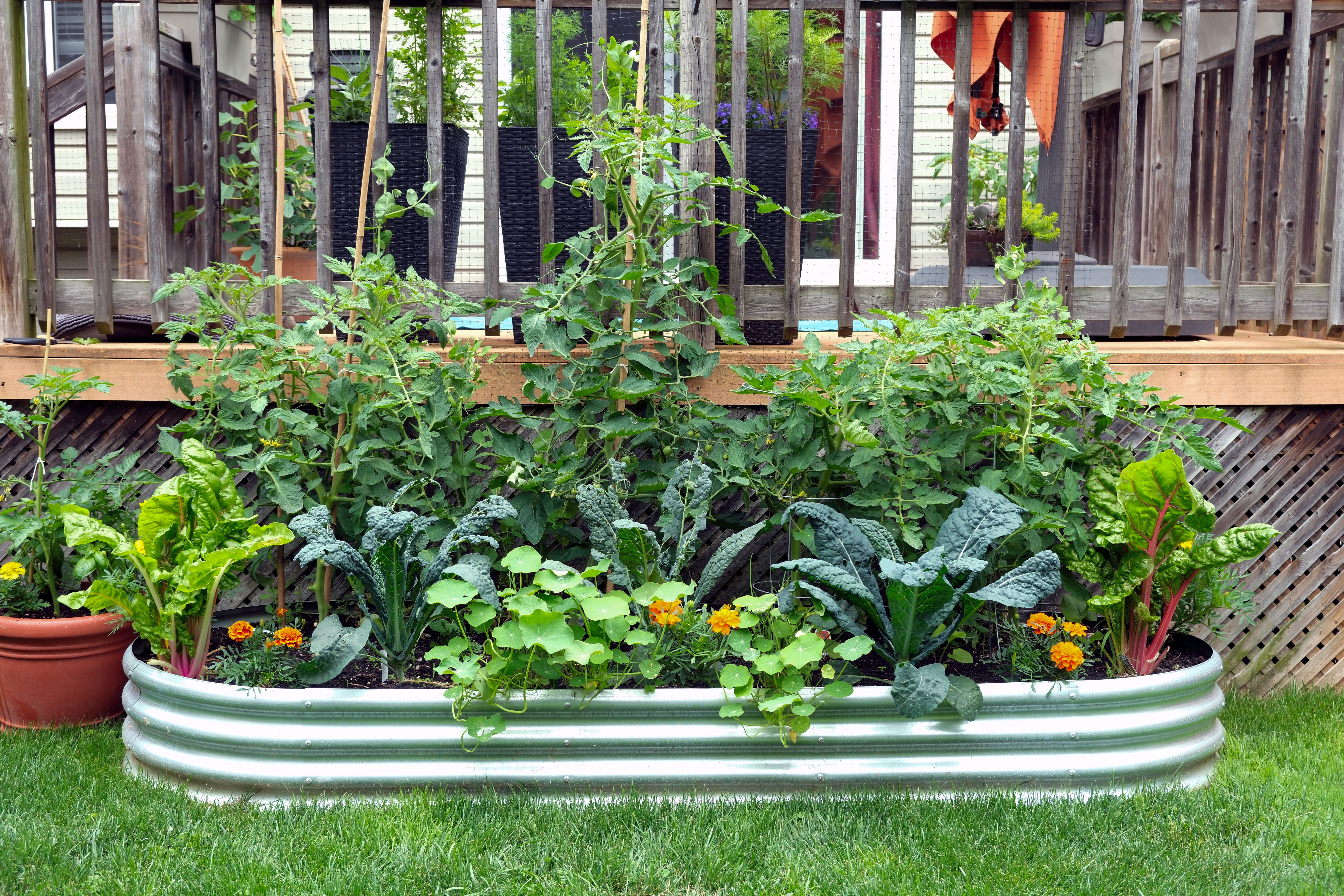 eco-friendly lawn