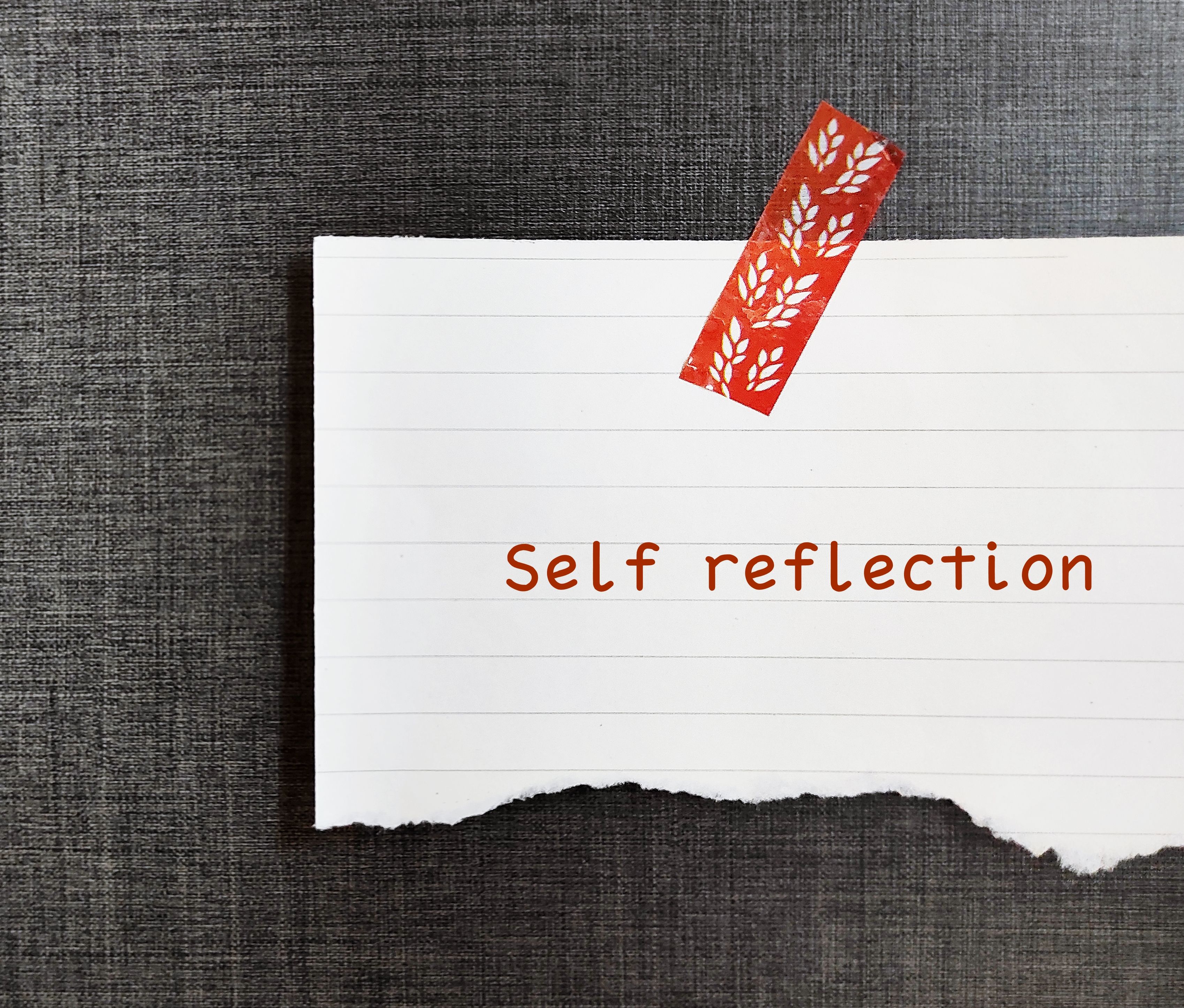 self reflection