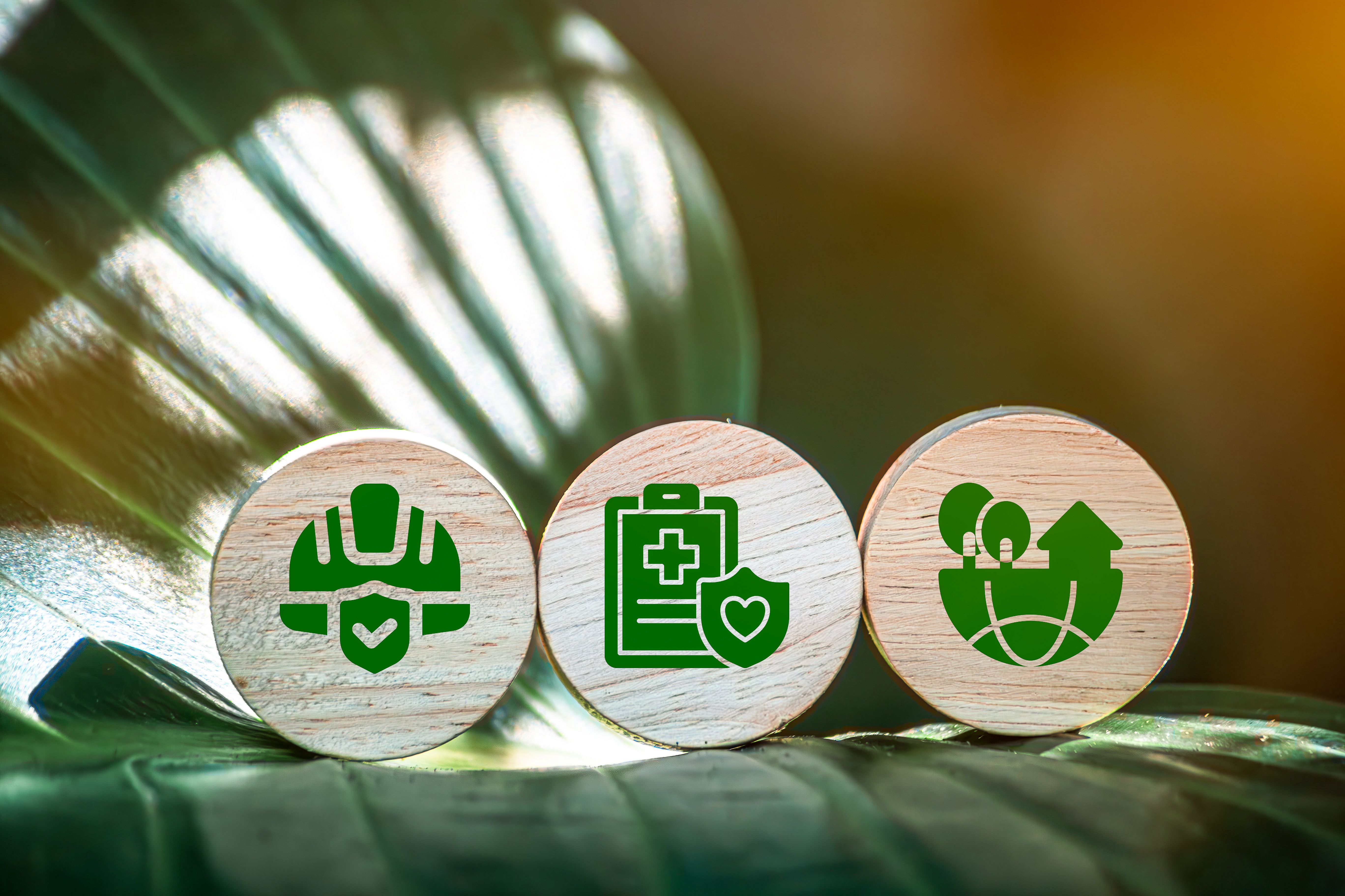 environmental responsibility