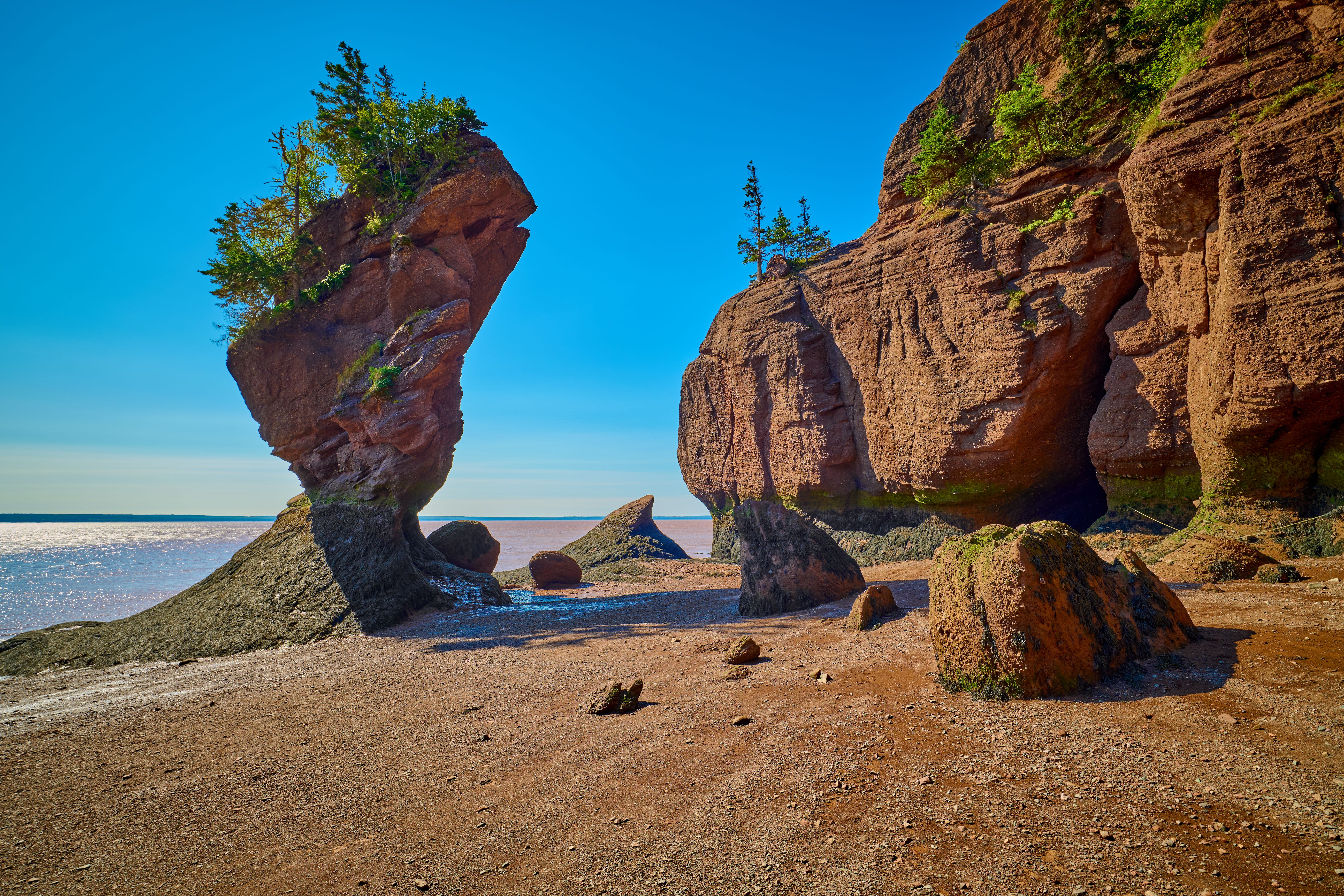 bay of fundy