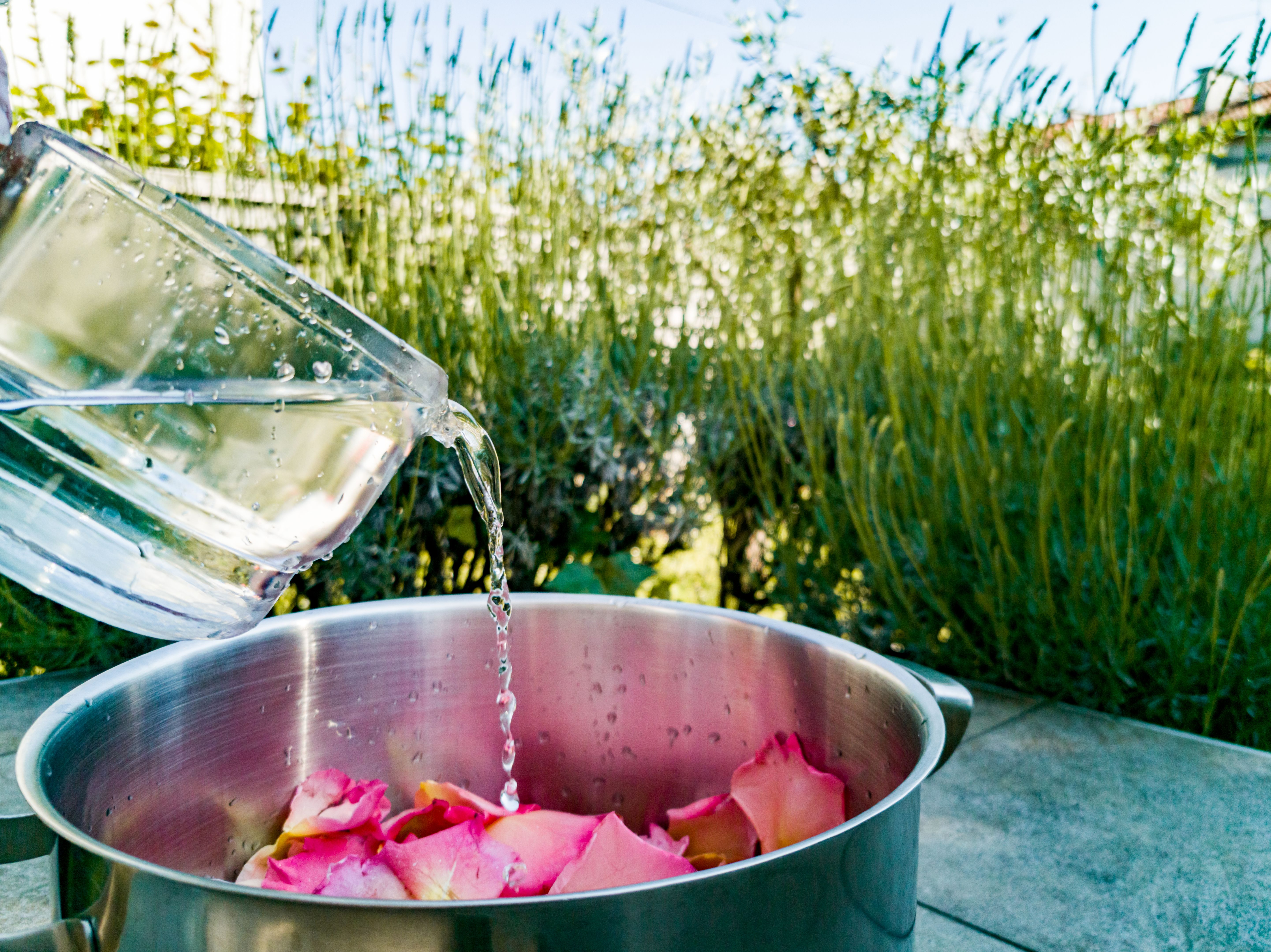 Making Homemade Syrup from Rose Petal Making Homemade Syrup from Rose Petal