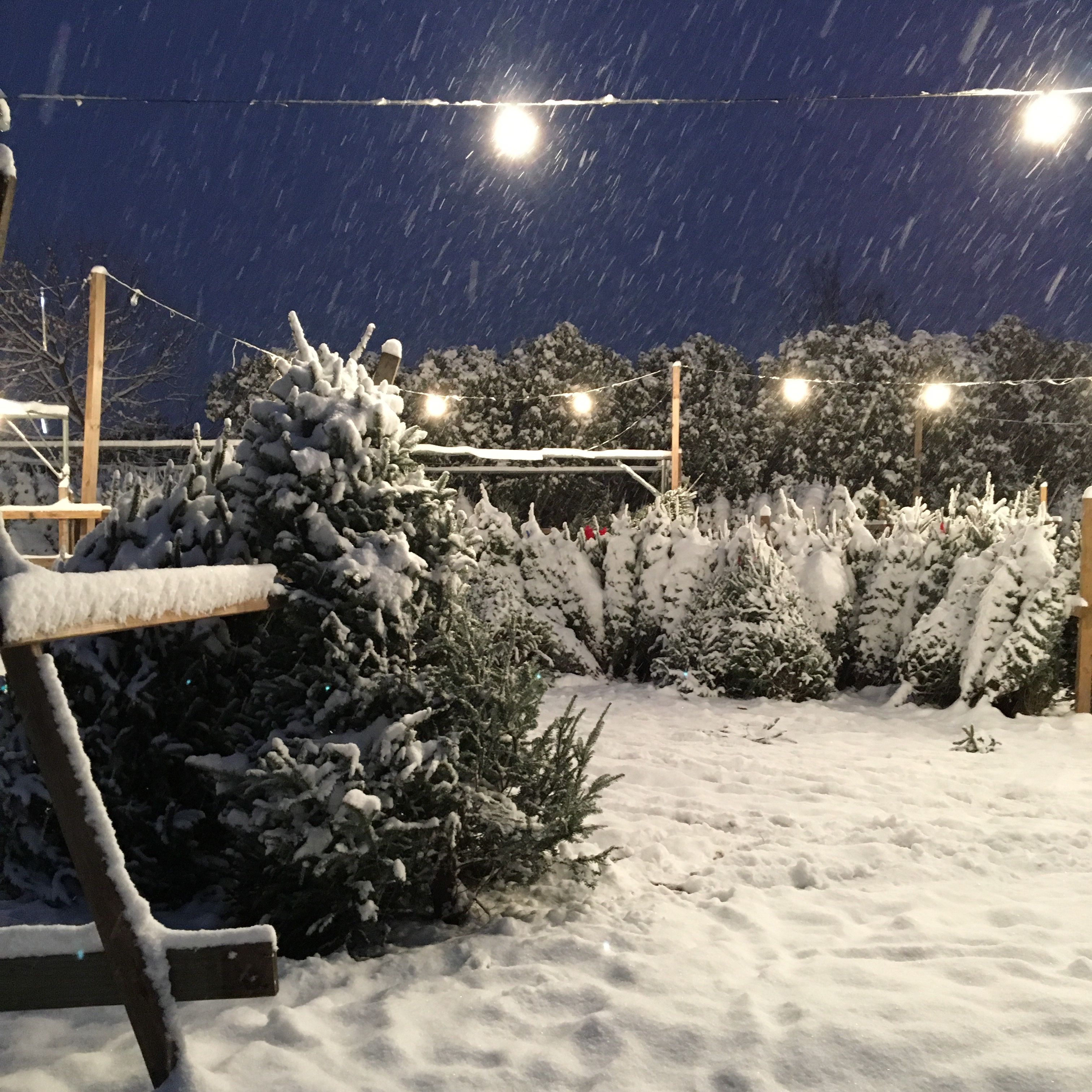 union county weather