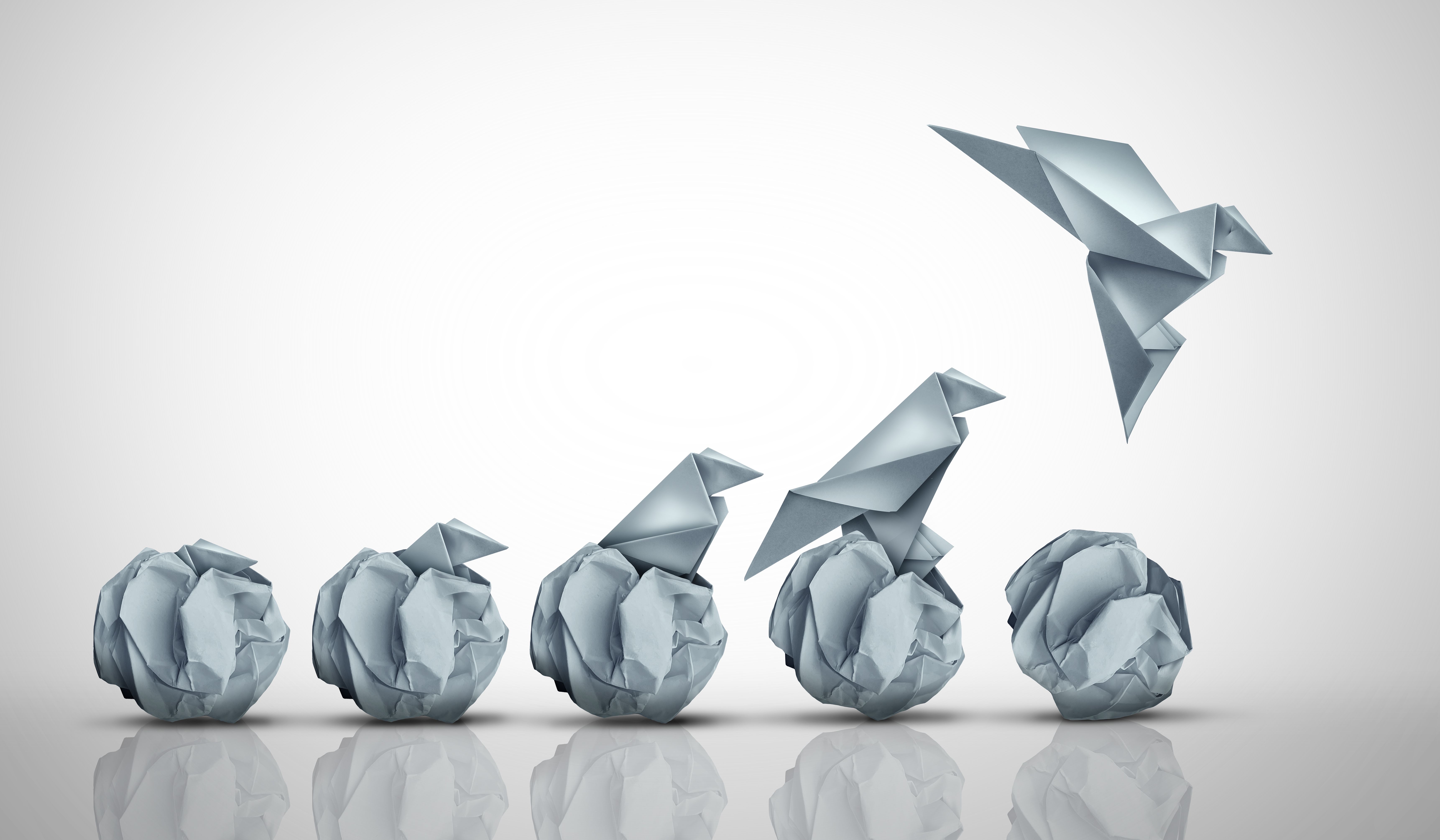 phoenix transformation