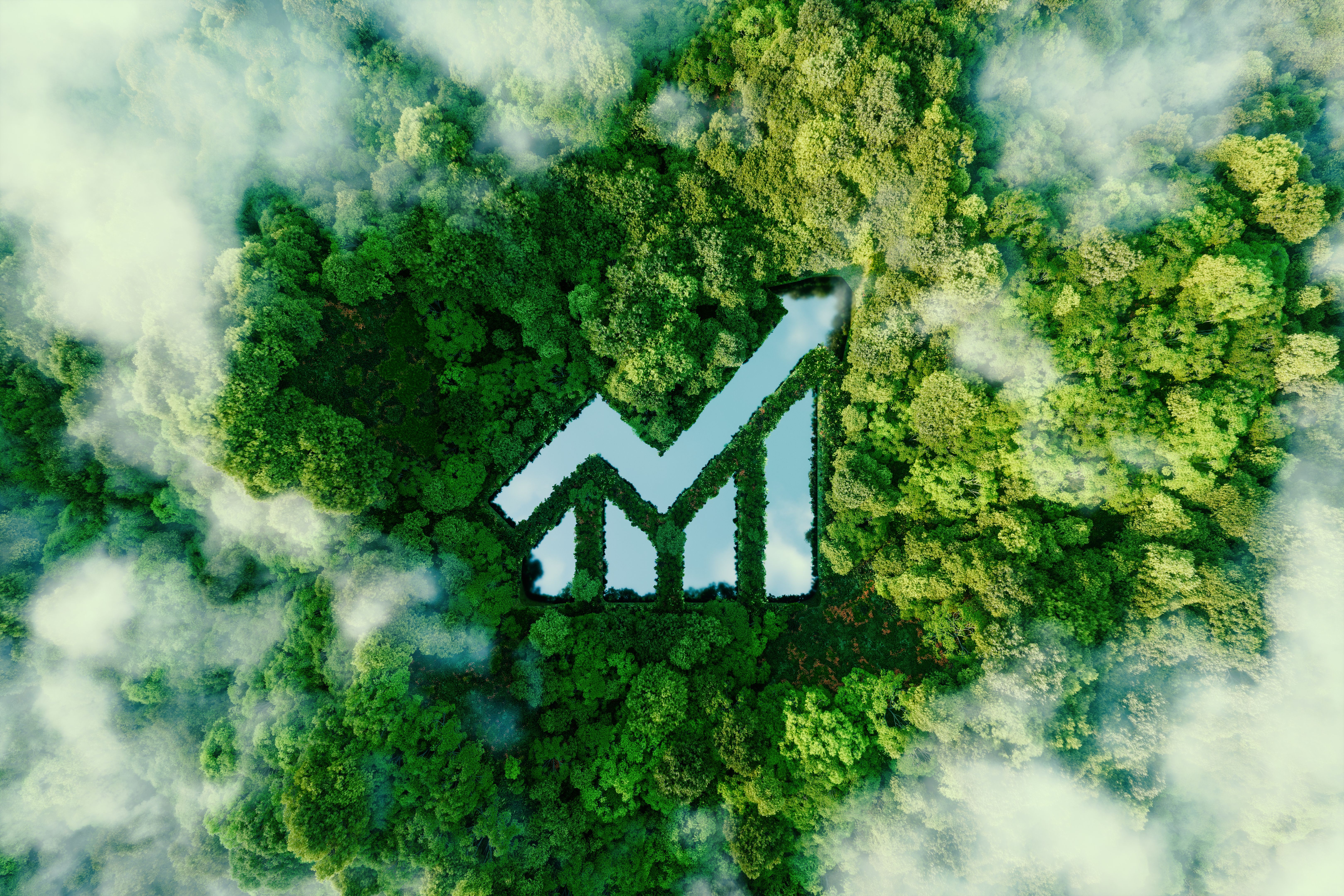 sustainable growth