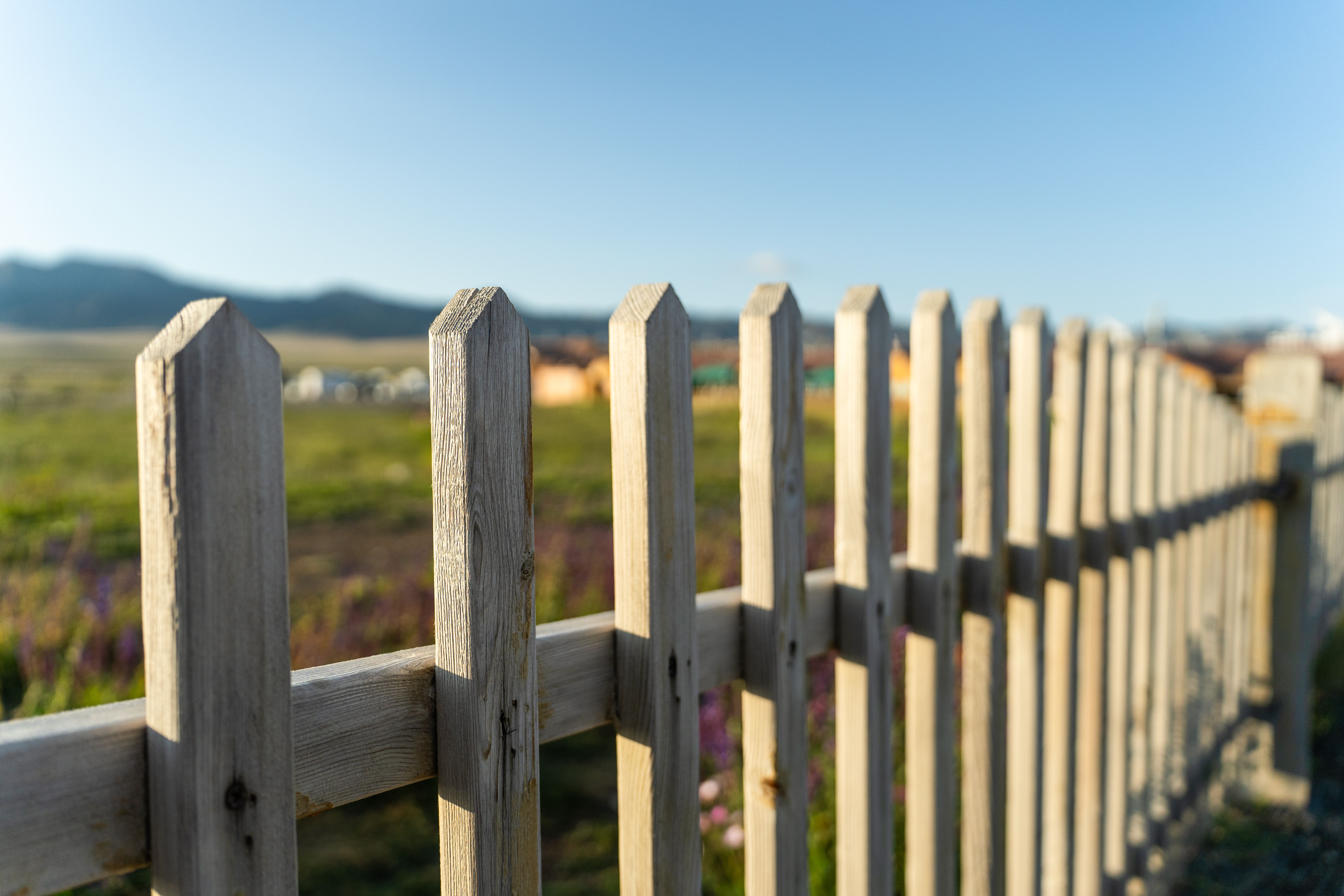 wooden fence inspection