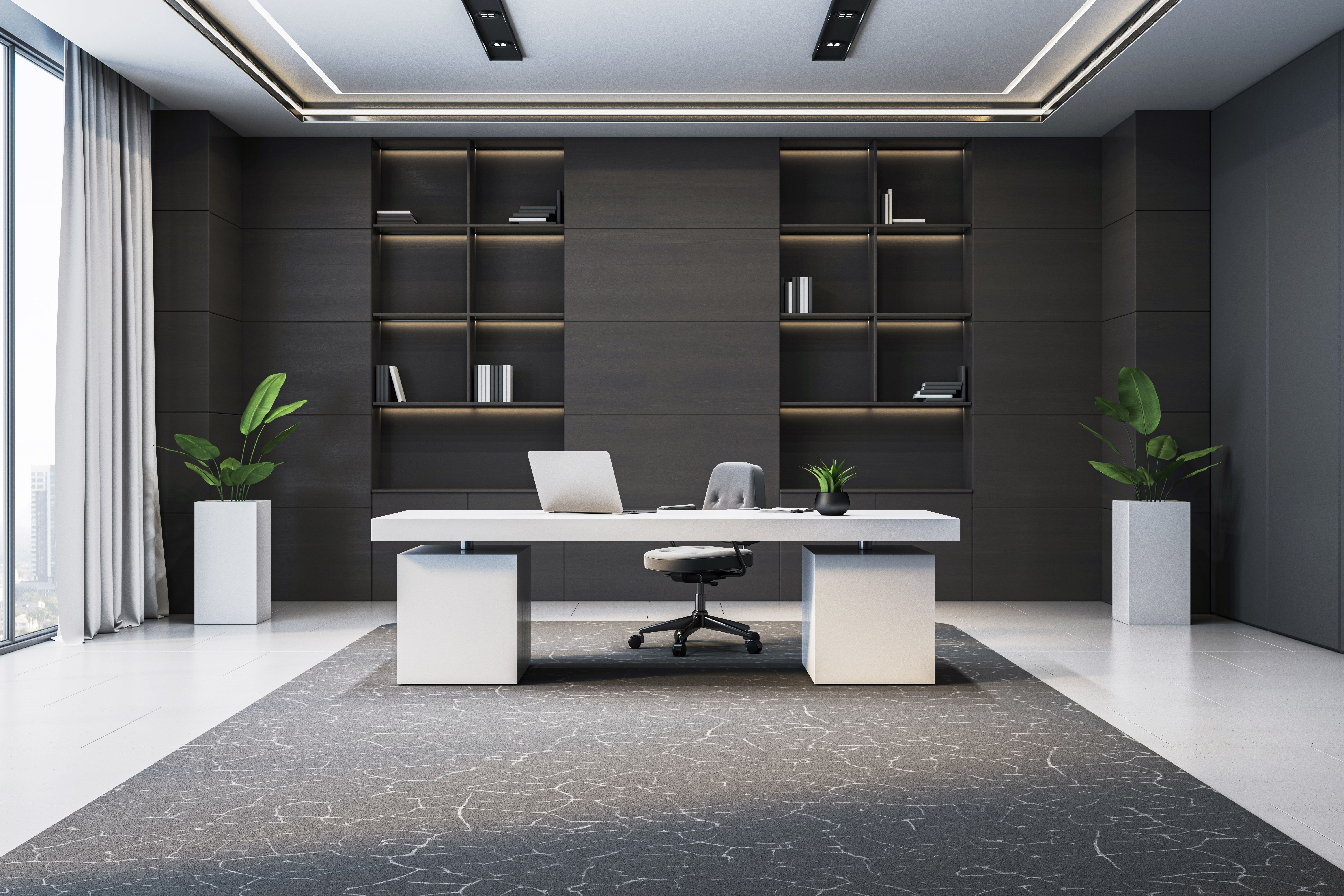 clean carpet office