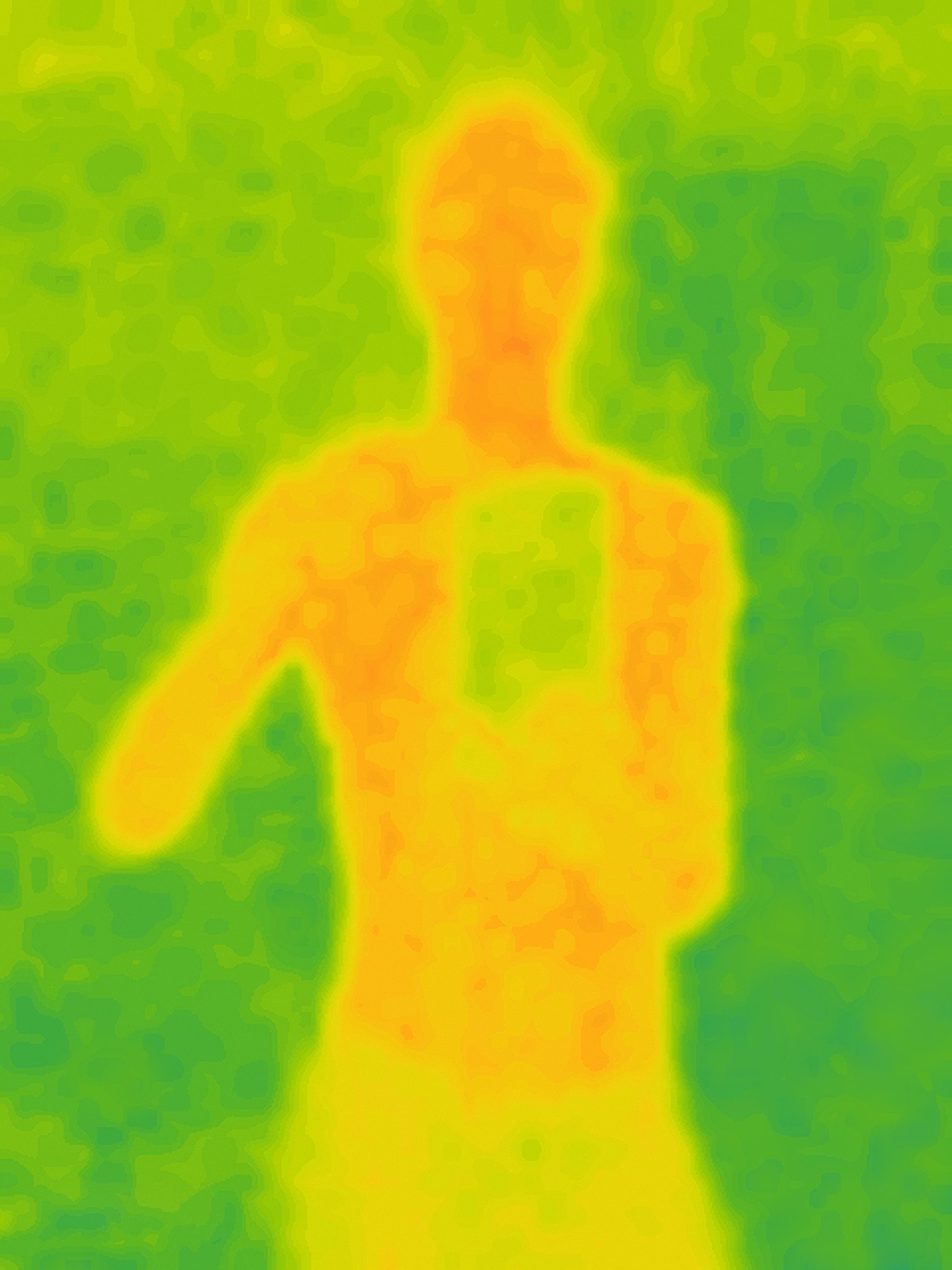 thermography biosecurity