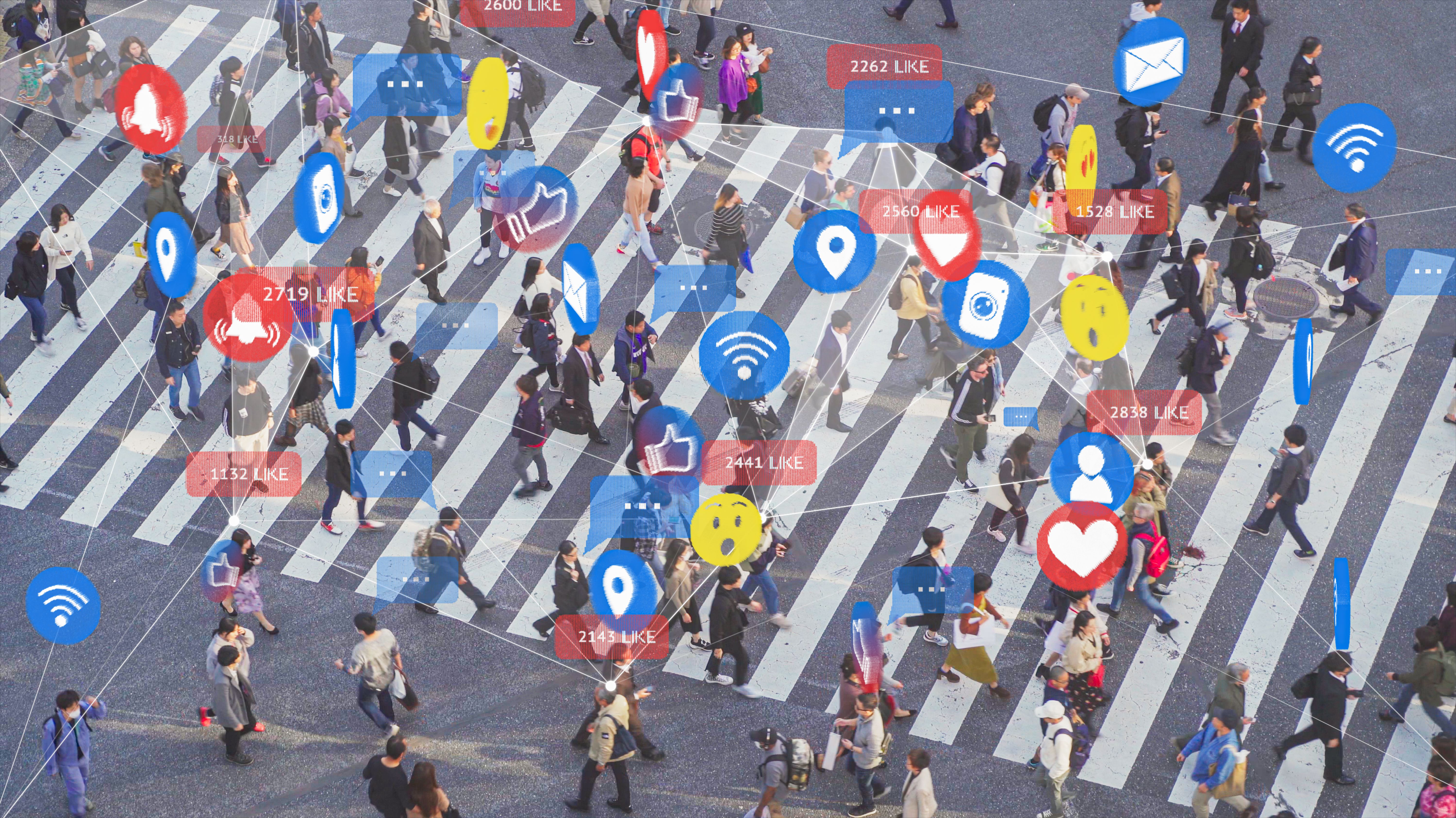 social media networking