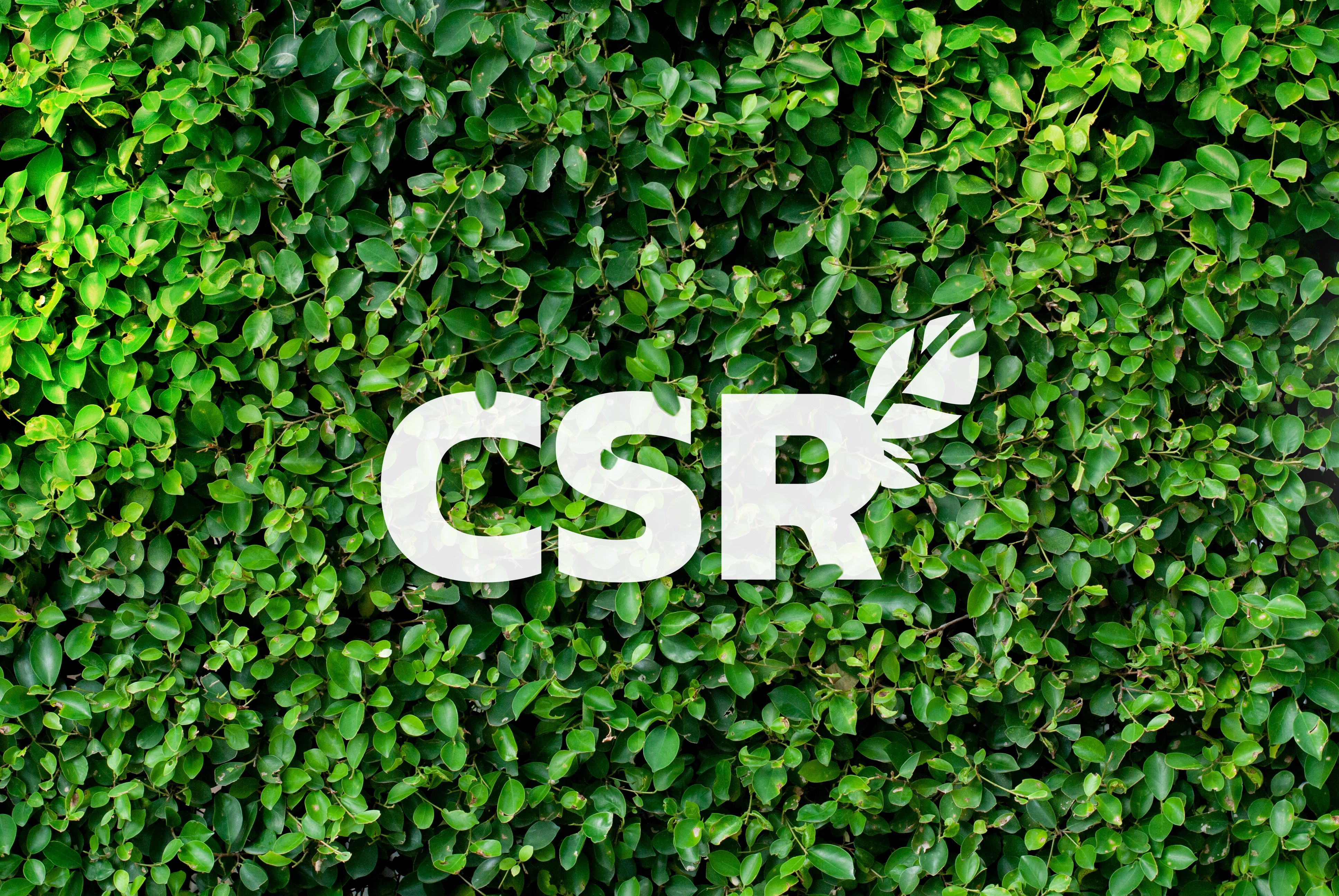 CSR on a green background ,Concept of love the world CSR on a green background ,Concept of love the world