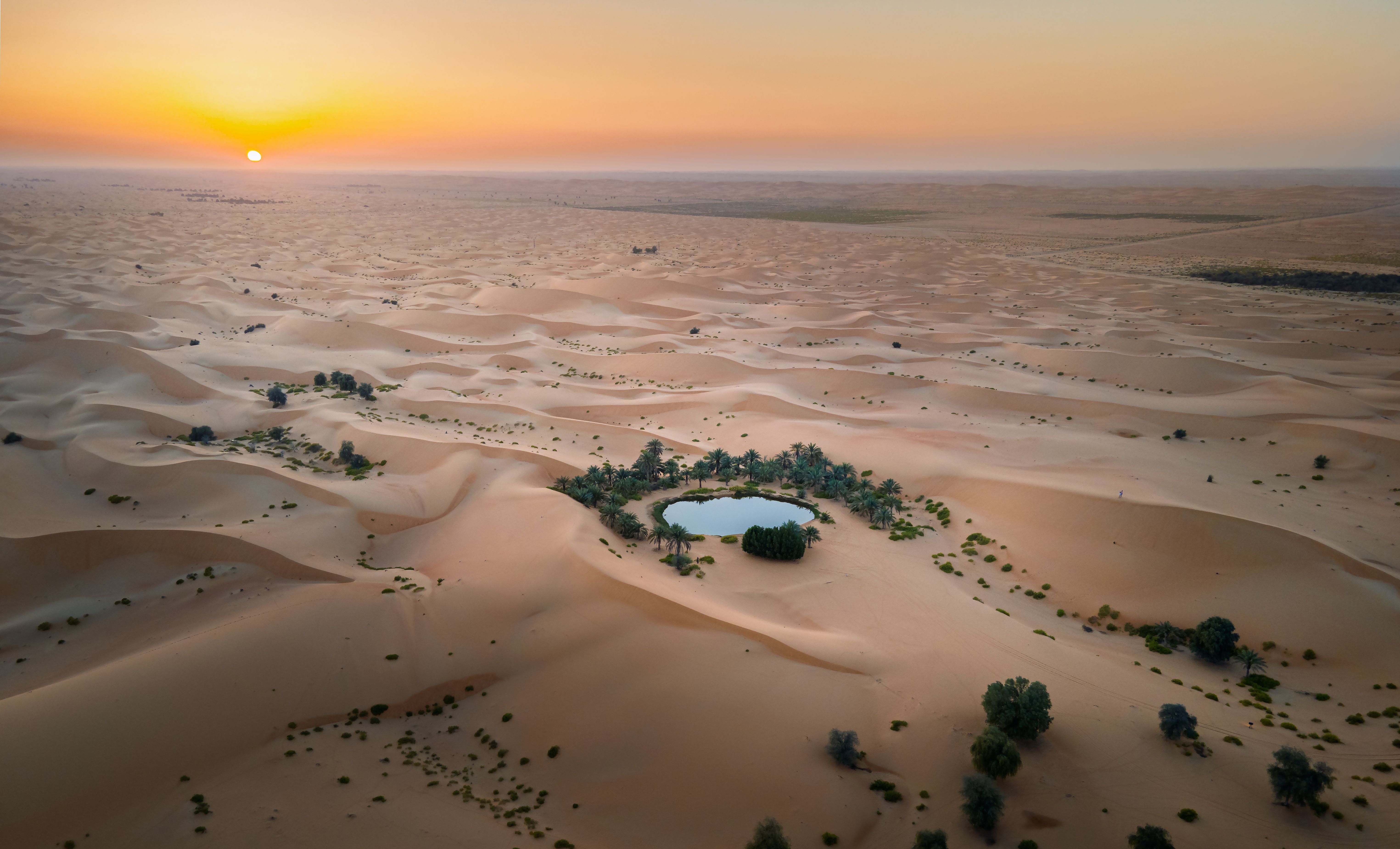 al ain oasis