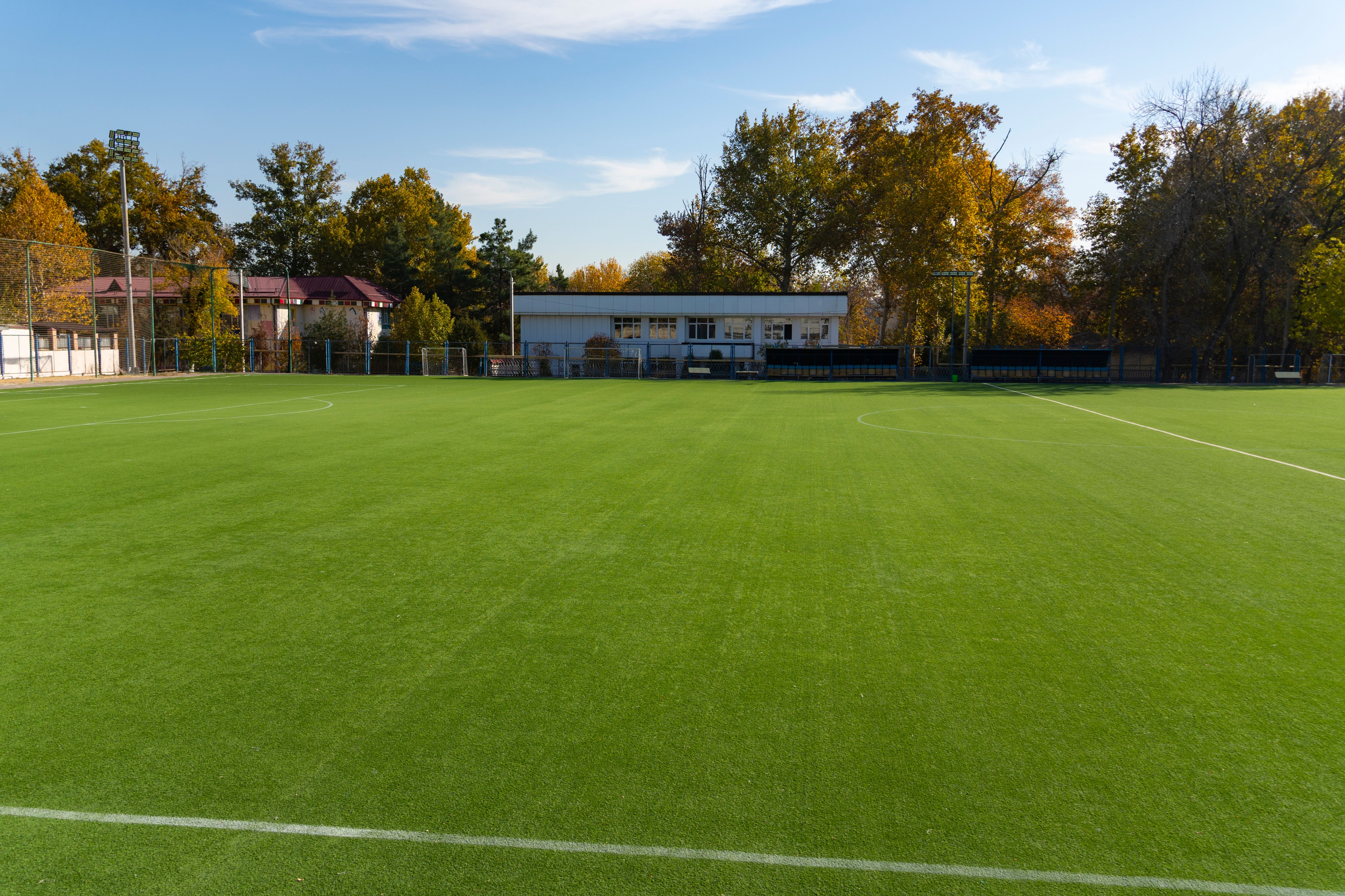 urban turf environment