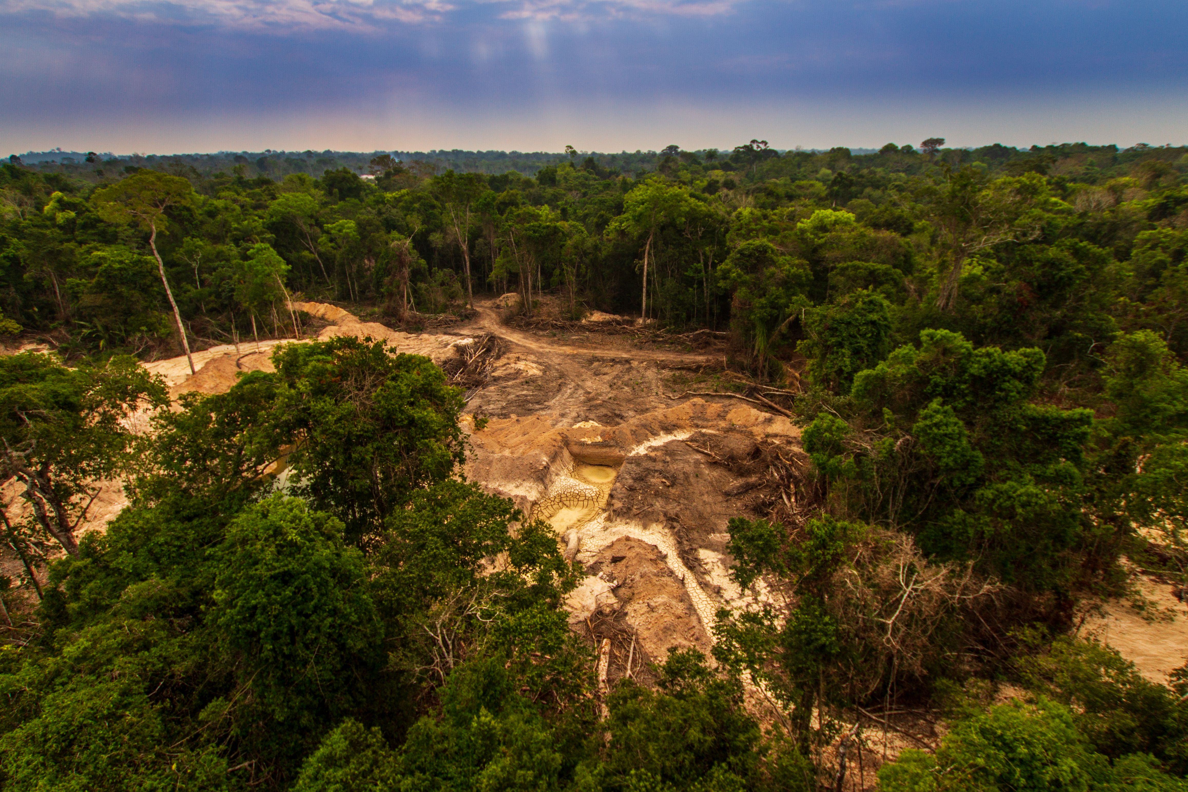 deforestation mining