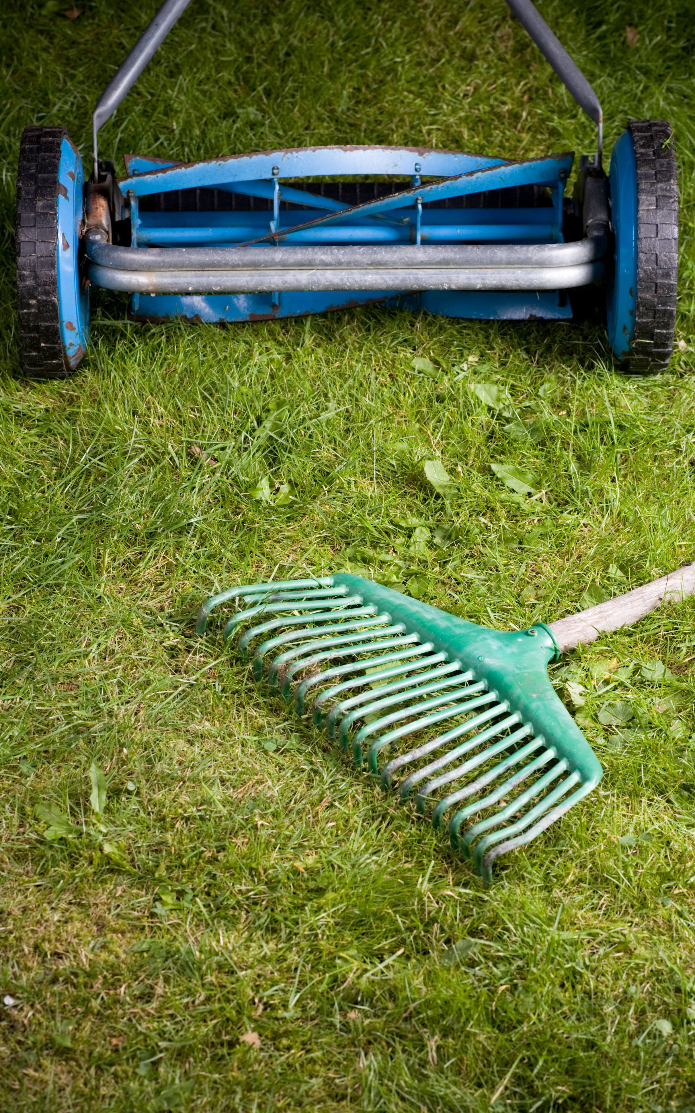 lawncare tips