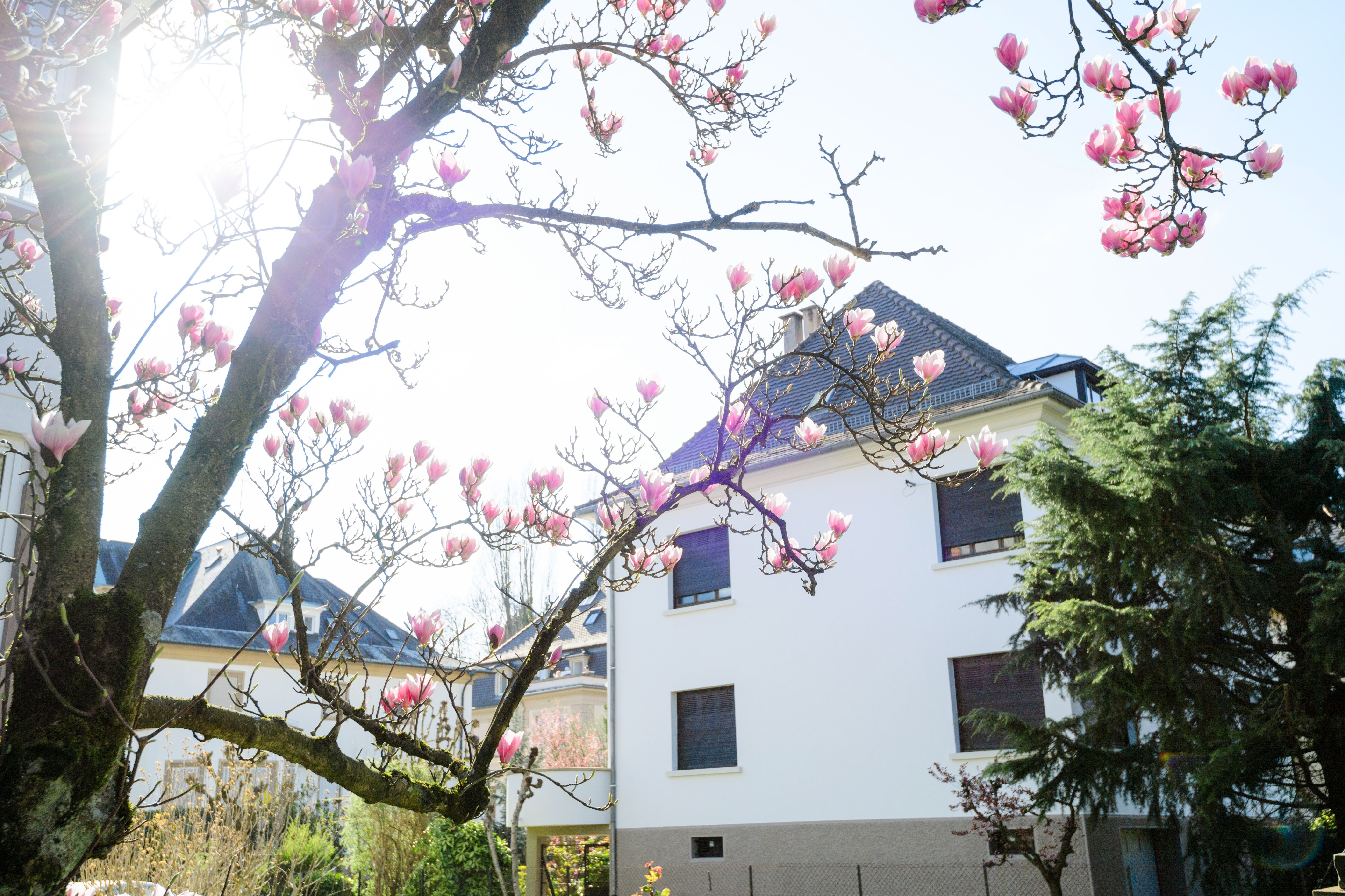 frühling immobilien