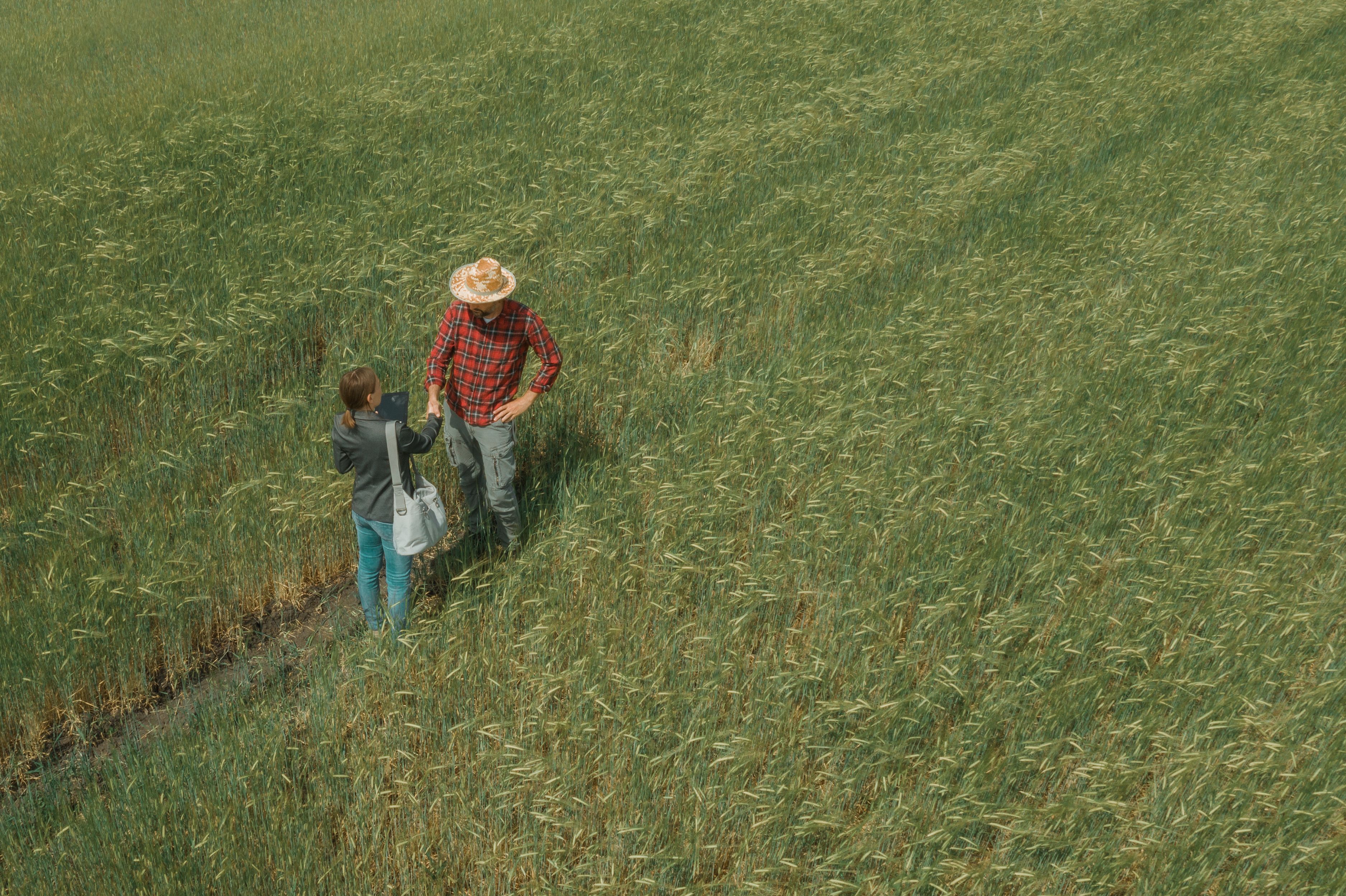 farmer banking
