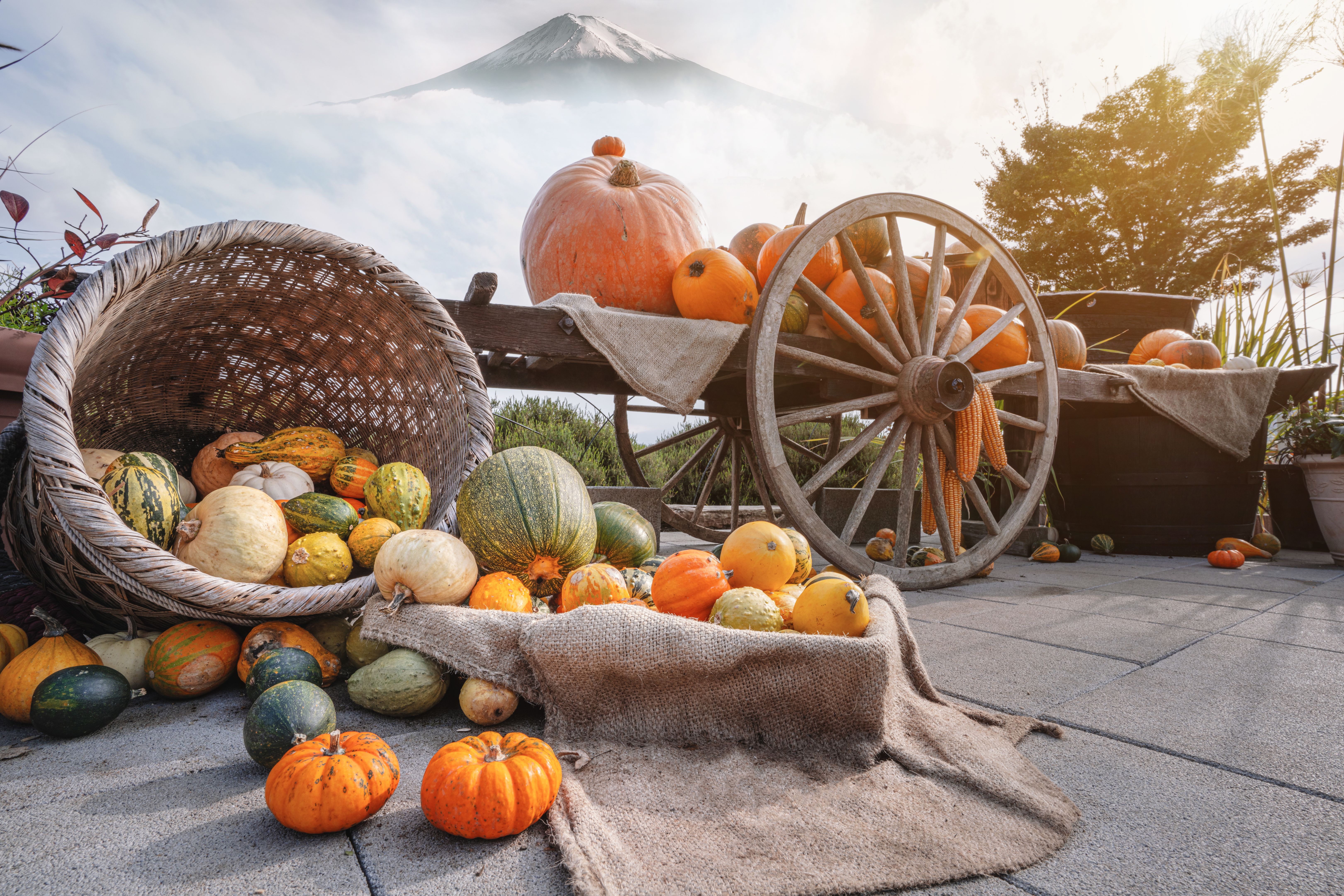 fall festival