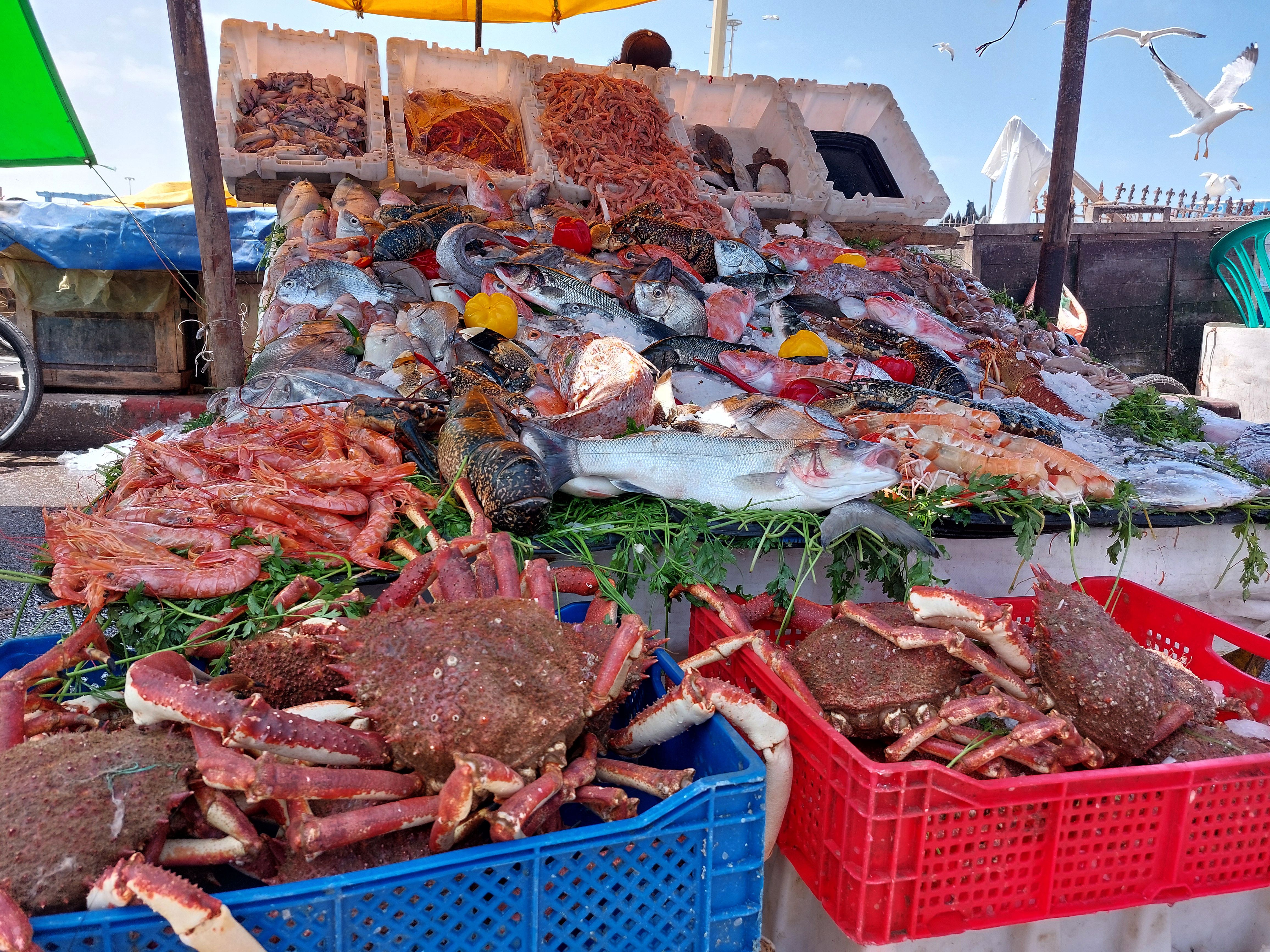 moroccan seafood
