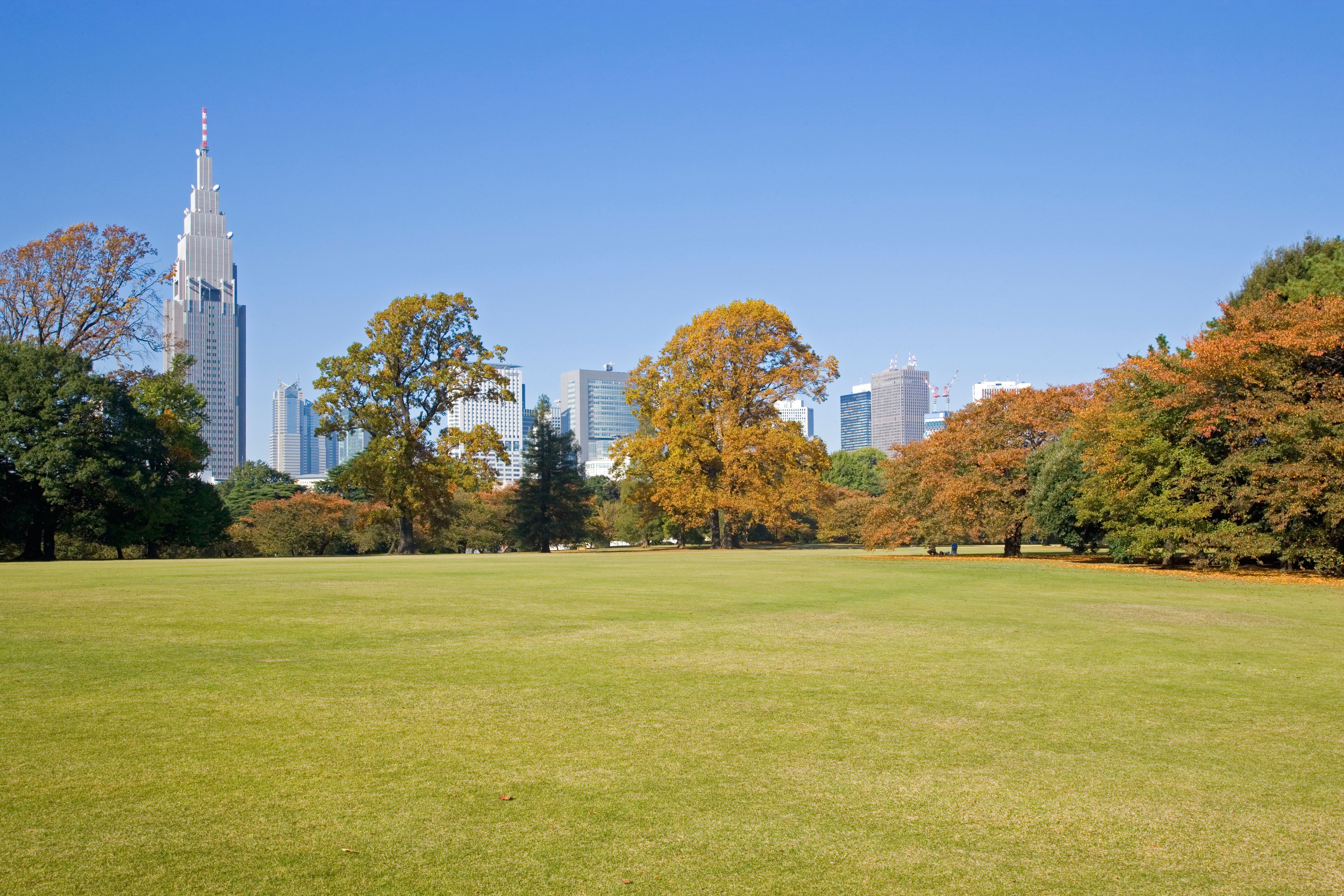 Gardens and Shinjuku skyscrapers