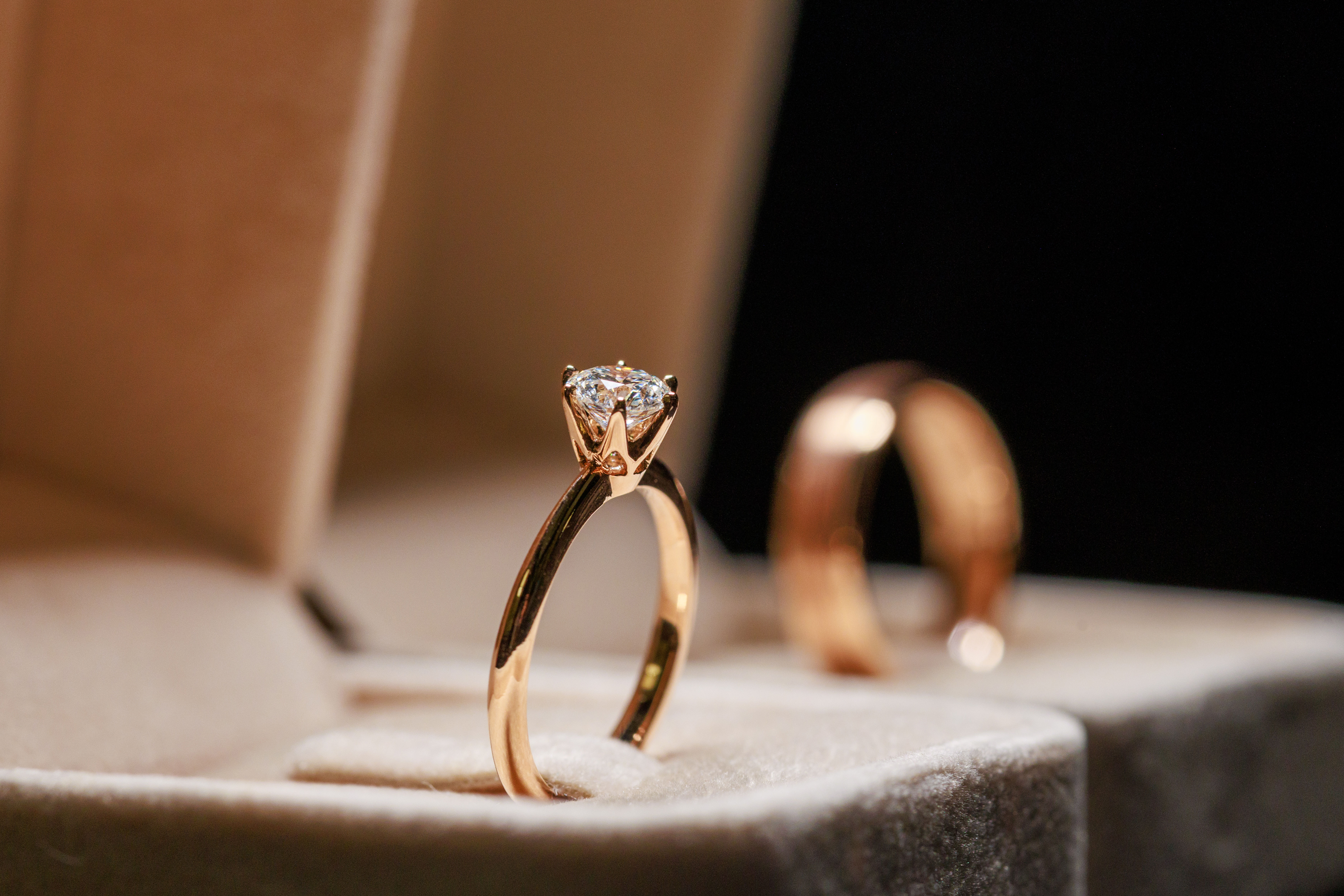 Close-up of the wedding rings of the bride and groom in a box