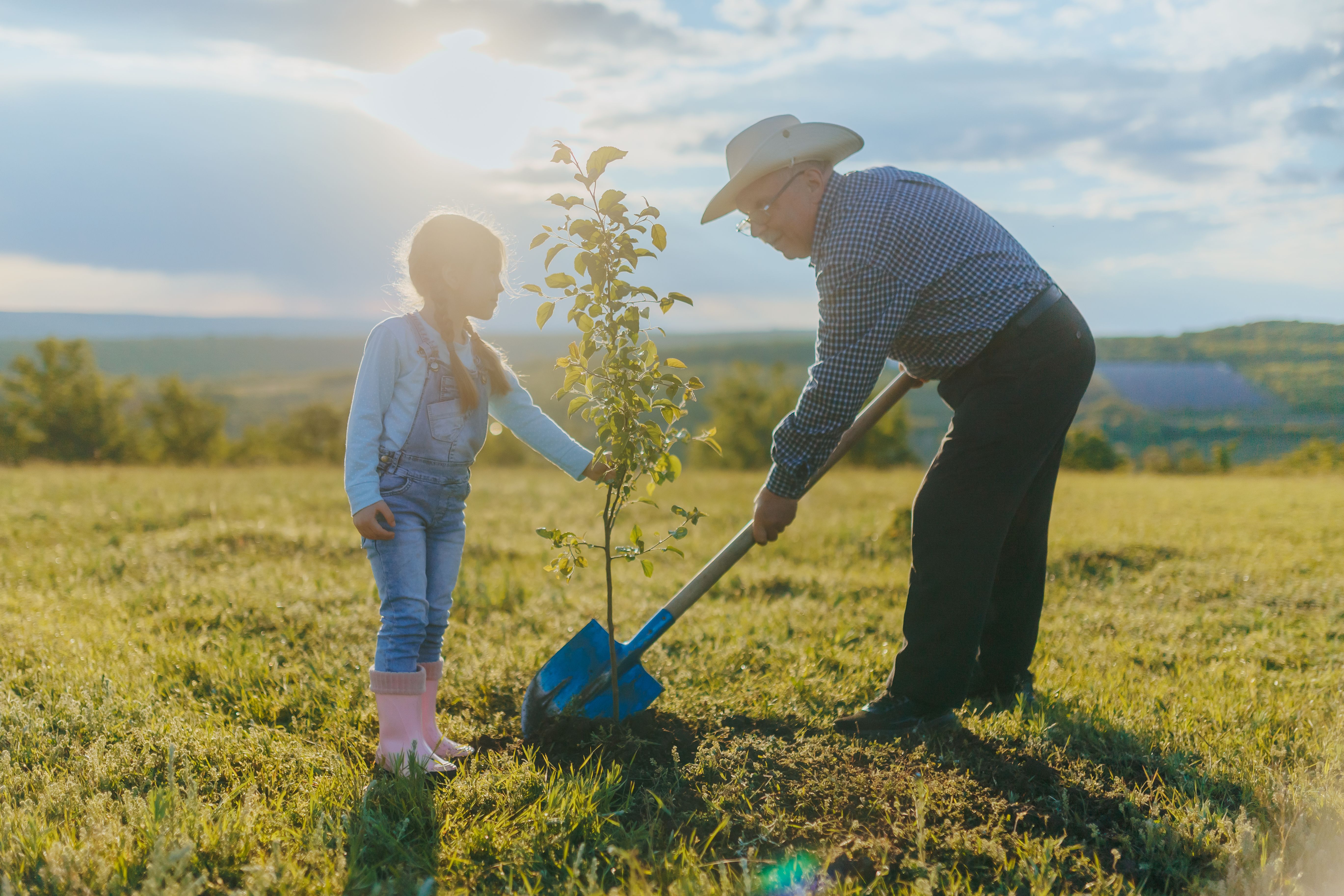 planting trees