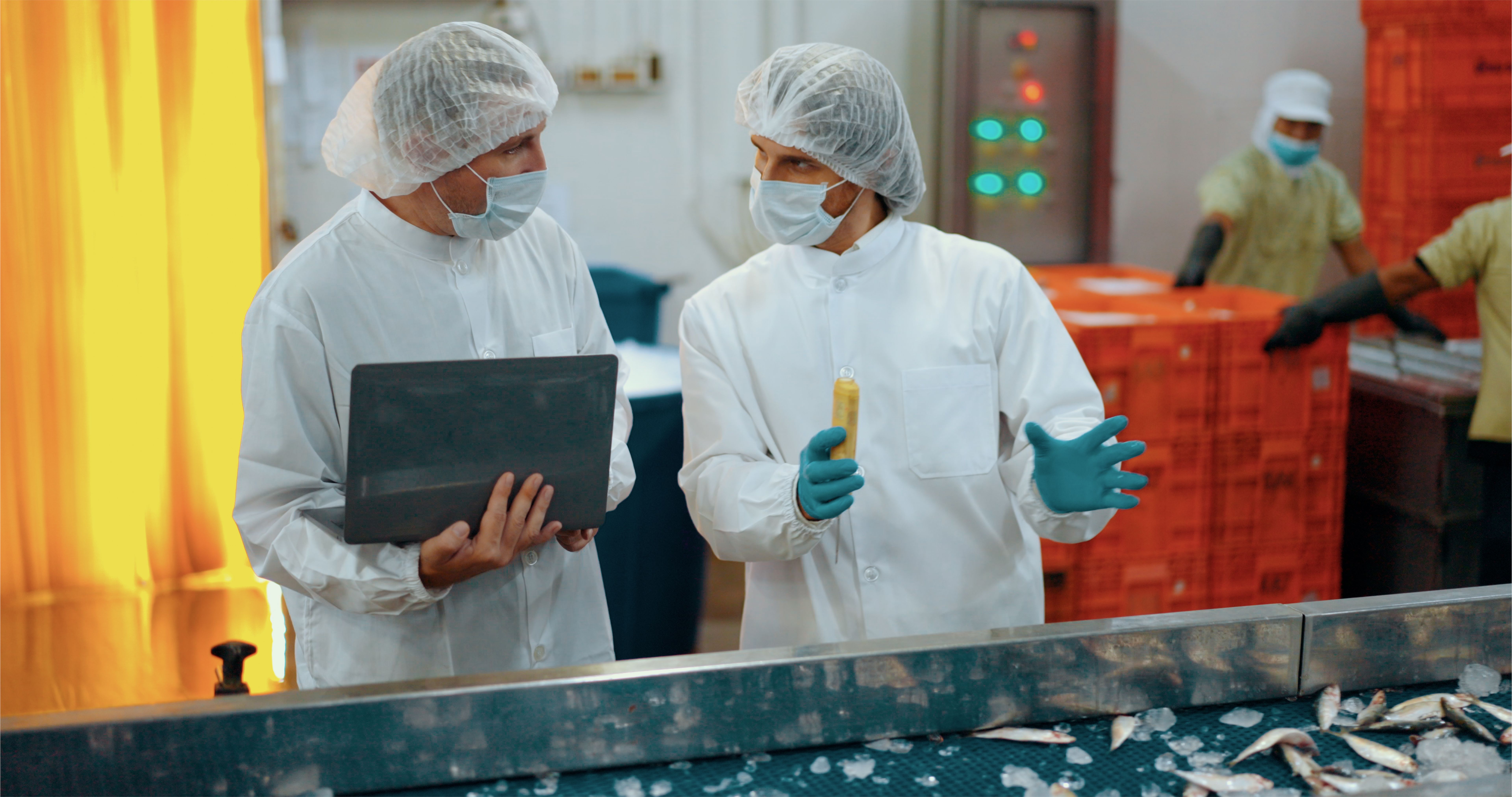 food safety inspection