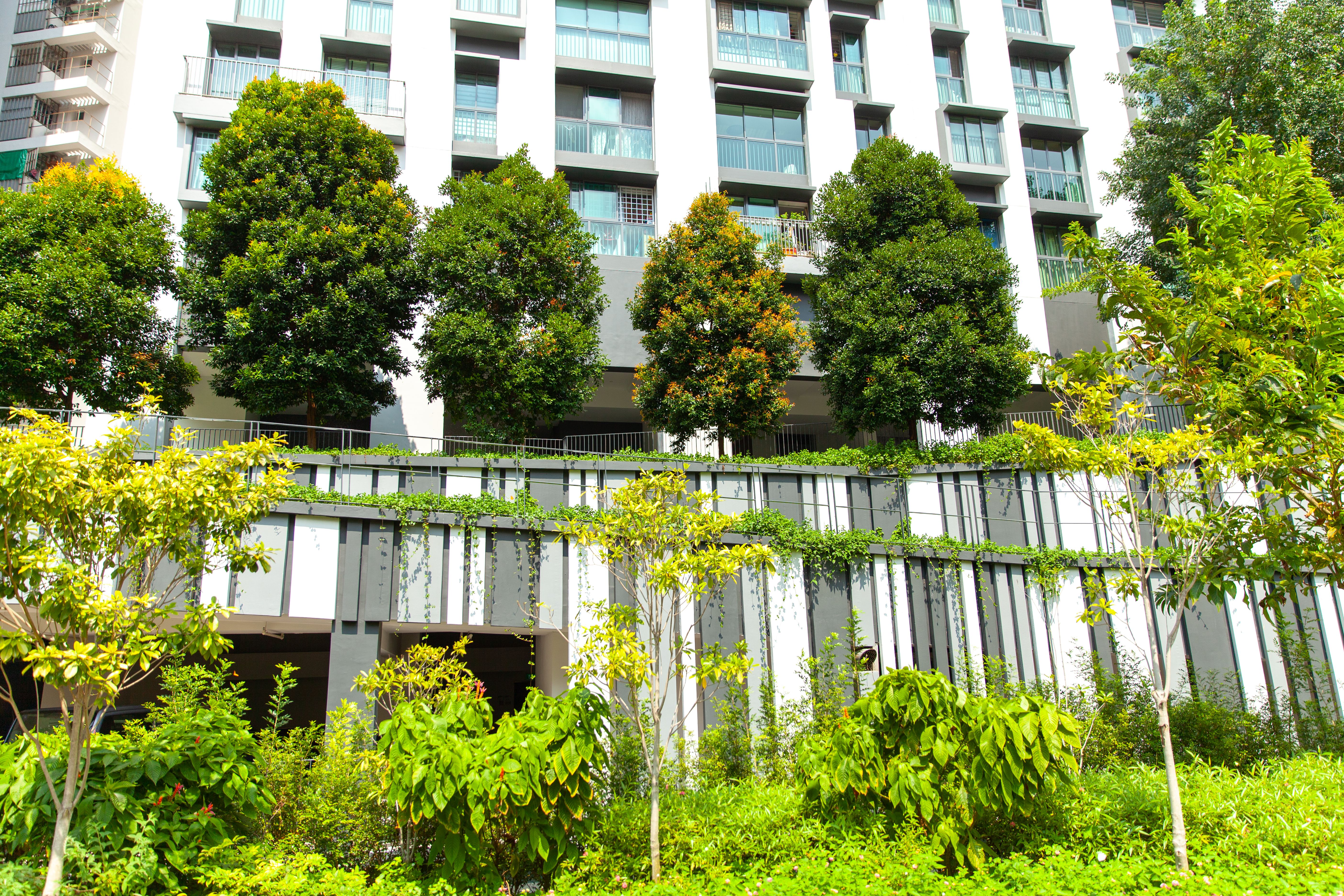 Edificios altos en Singapur rodeados de vegetación