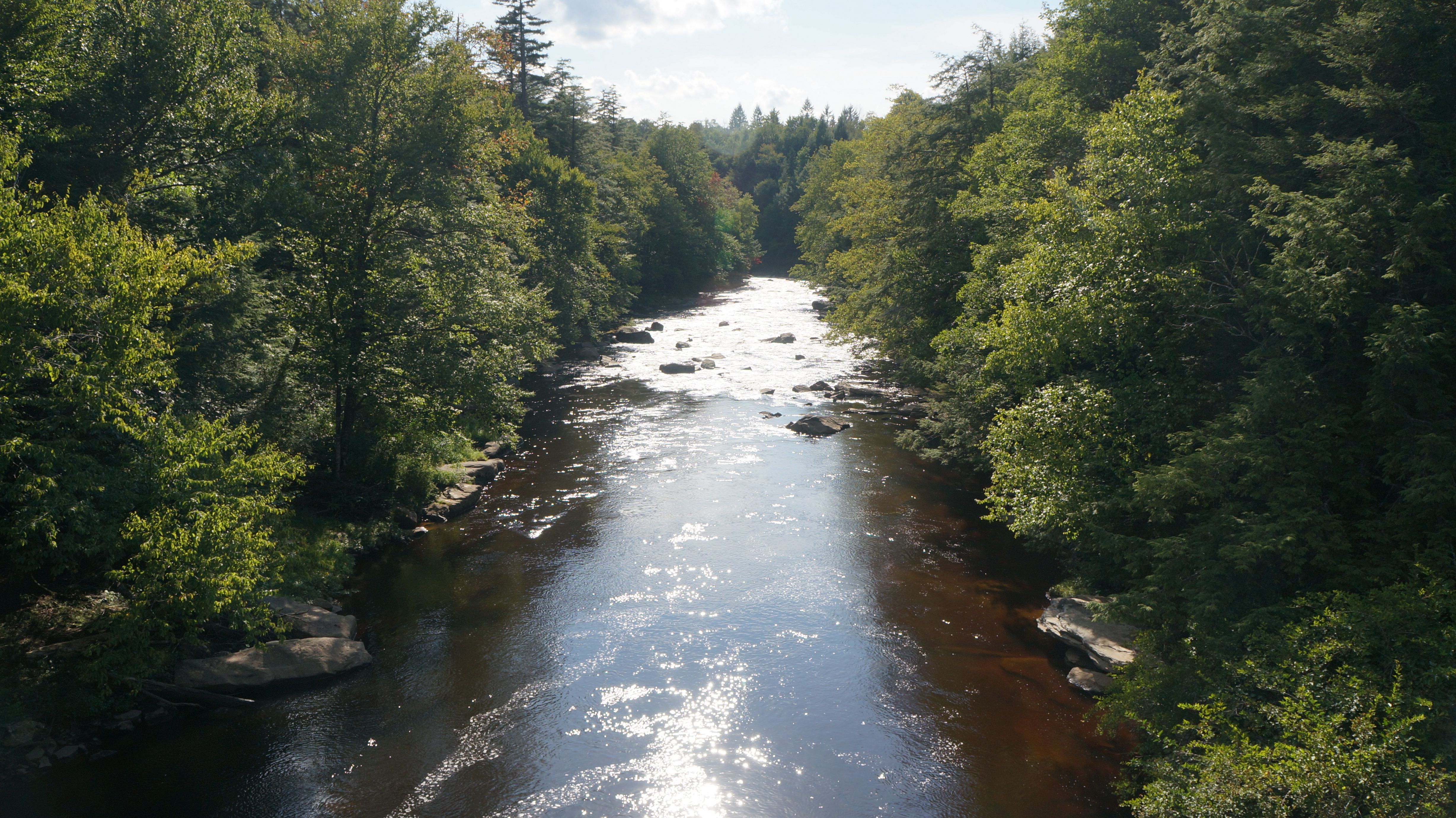 American Nature/Black Falls, West Virginia