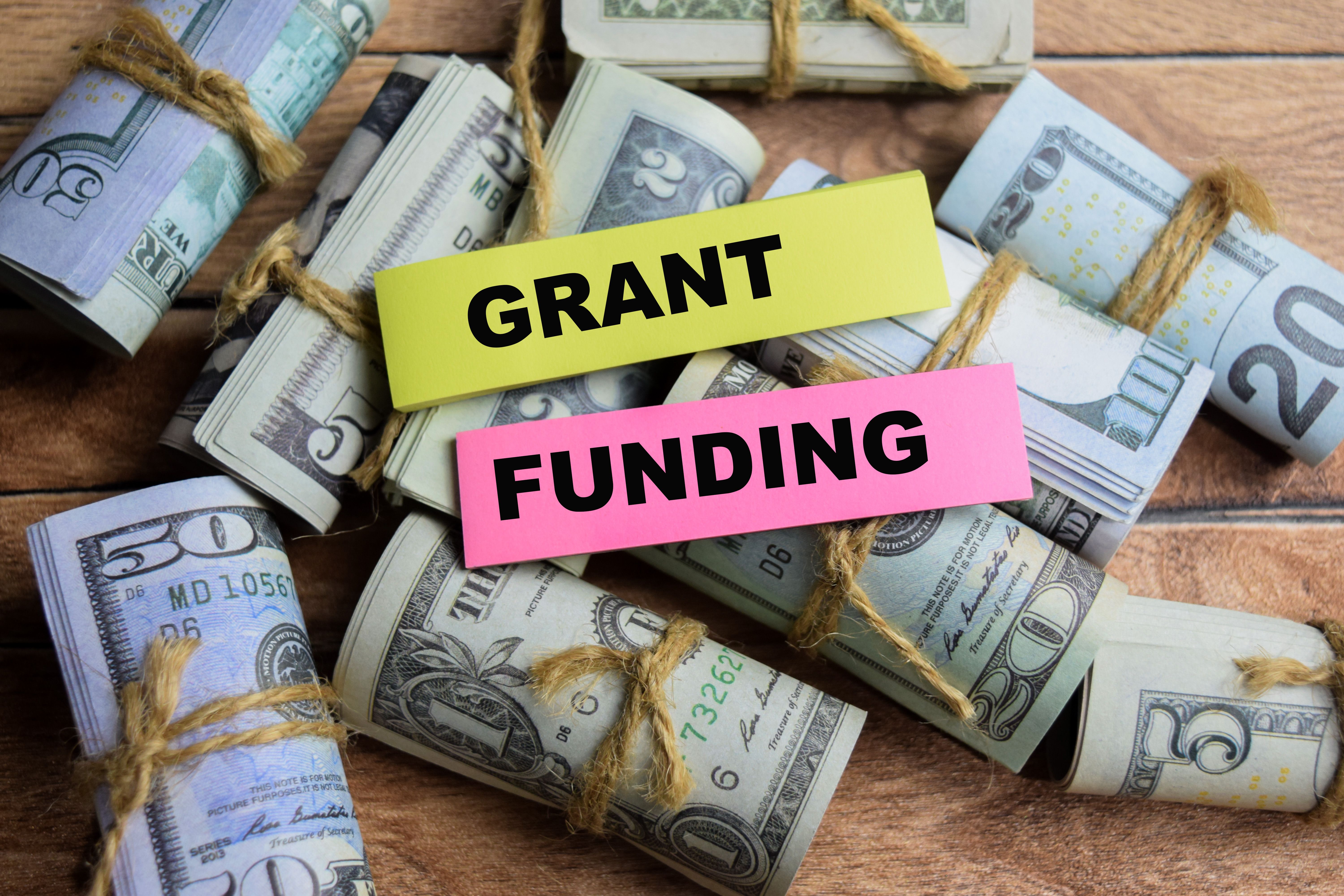government grant