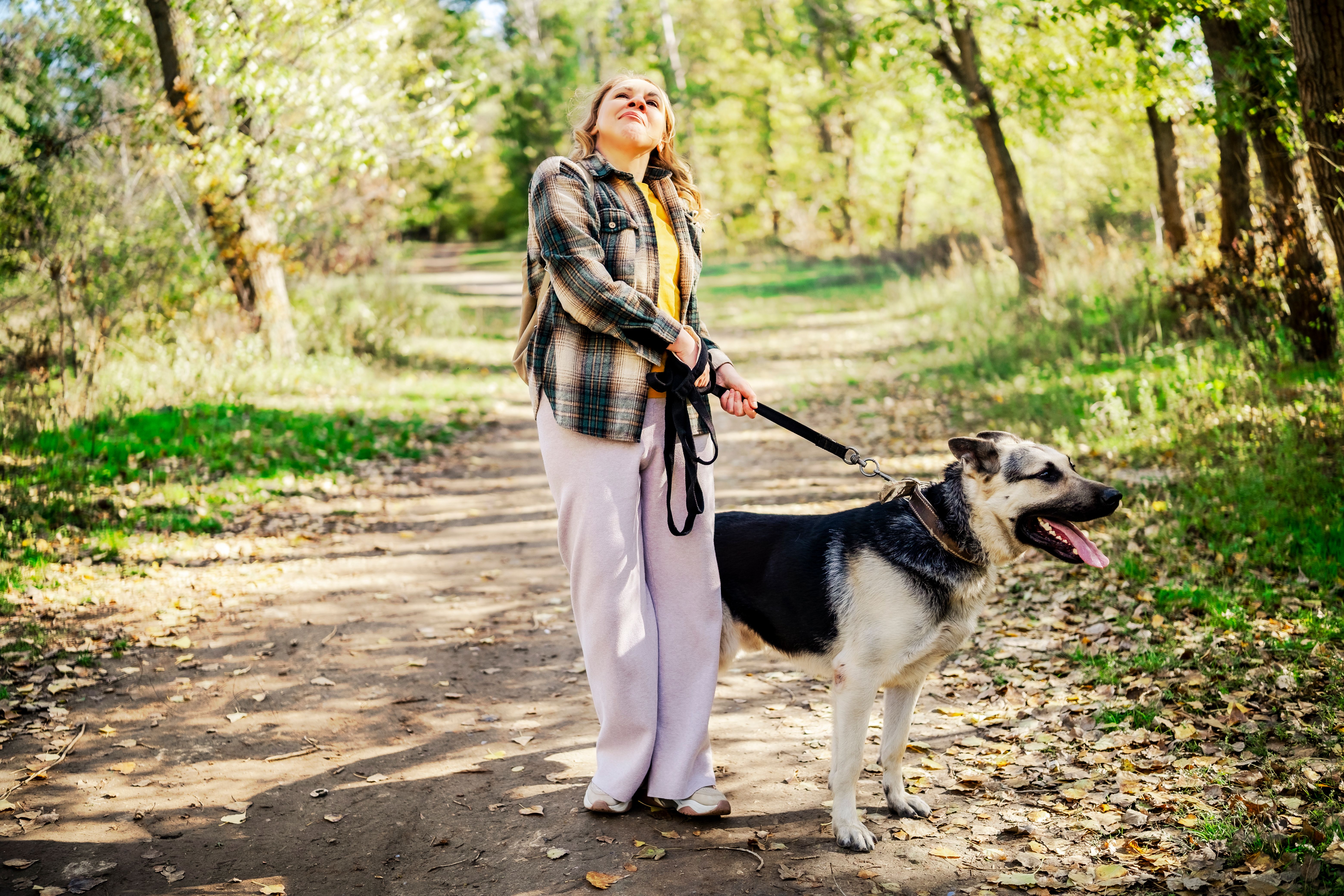 dog training routine