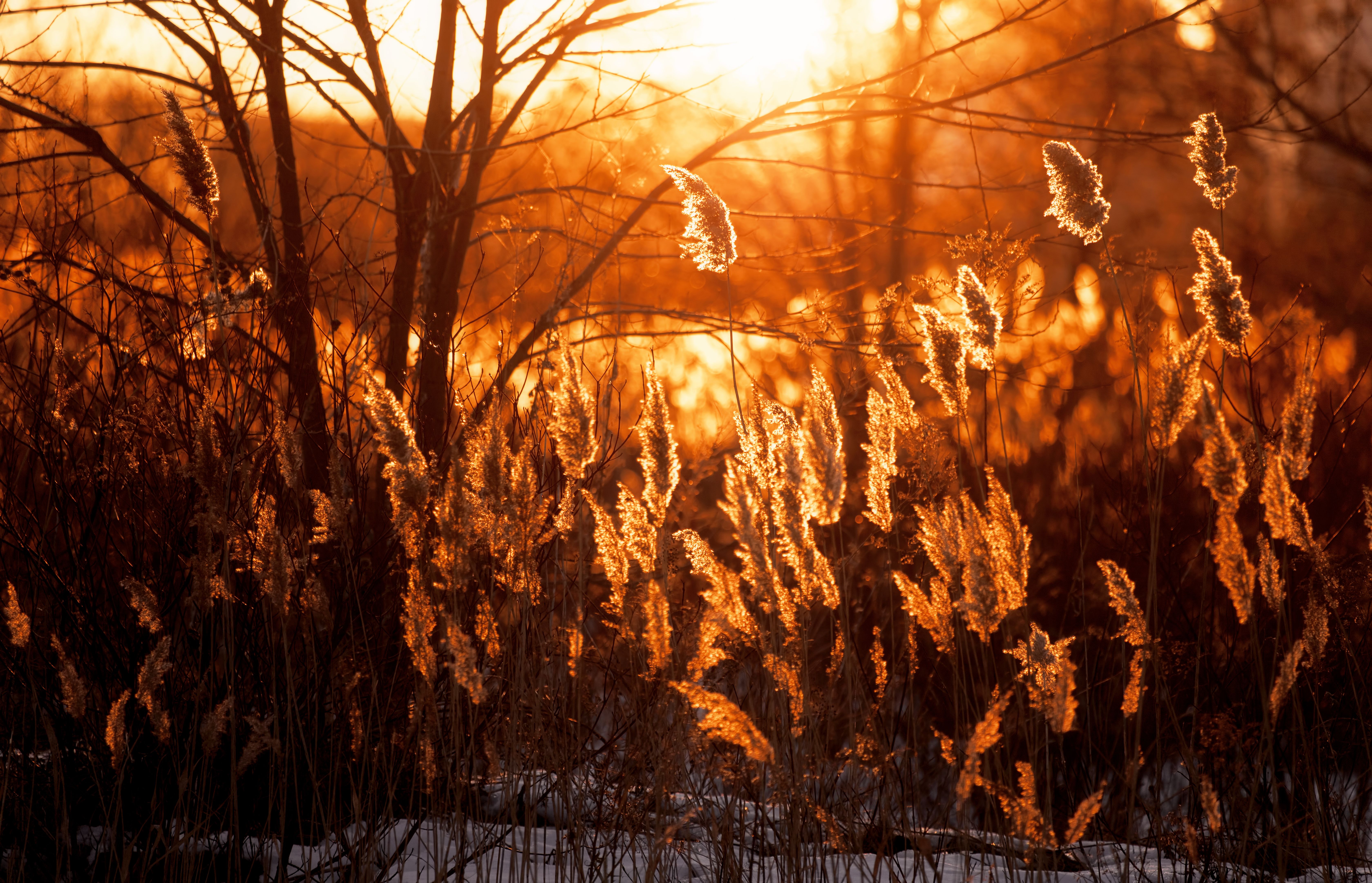 golden hour photography
