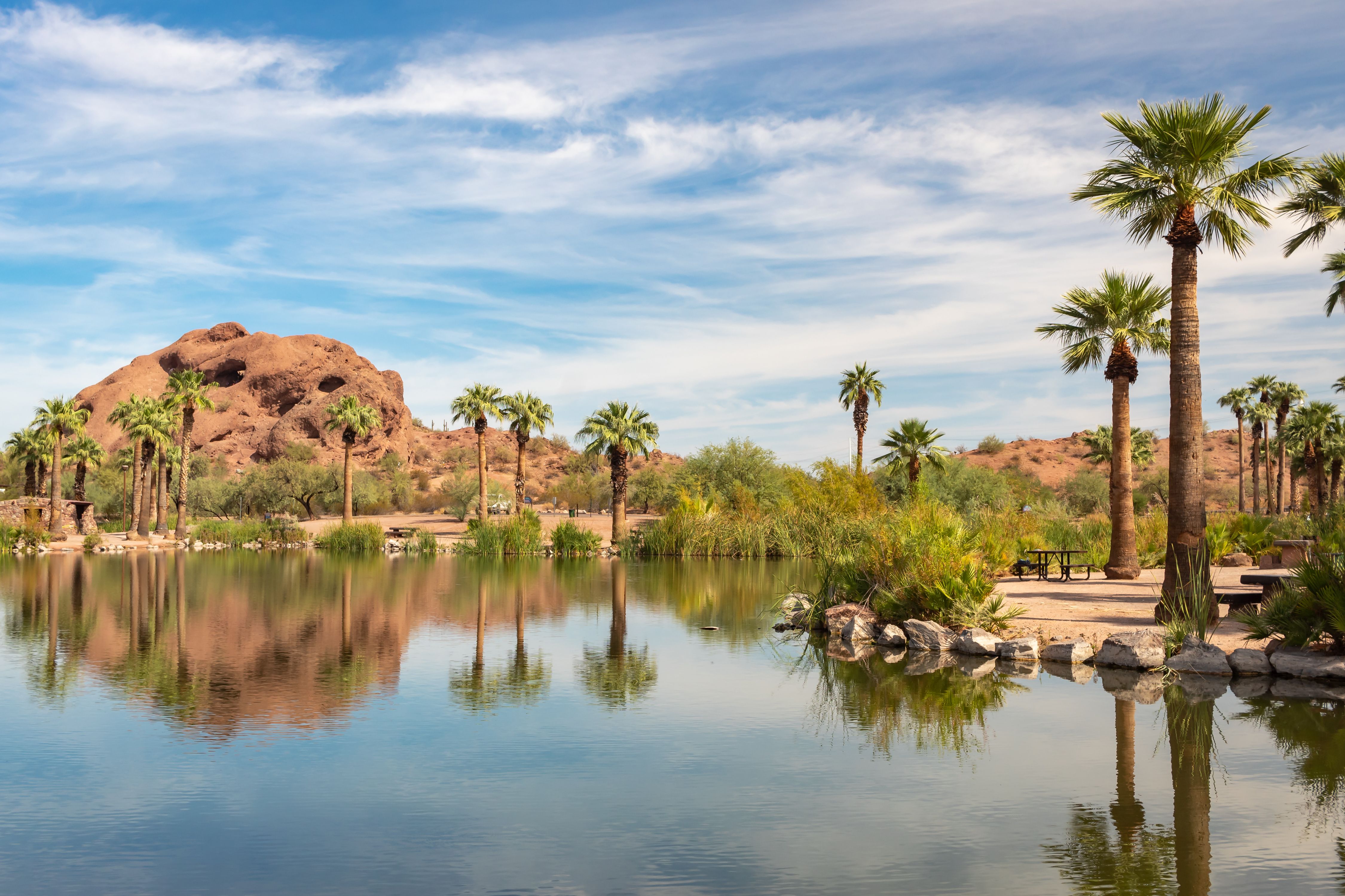 Palm trees water reflection oasis and mountains in the desert at Papago Park in Phoenix Arizona.