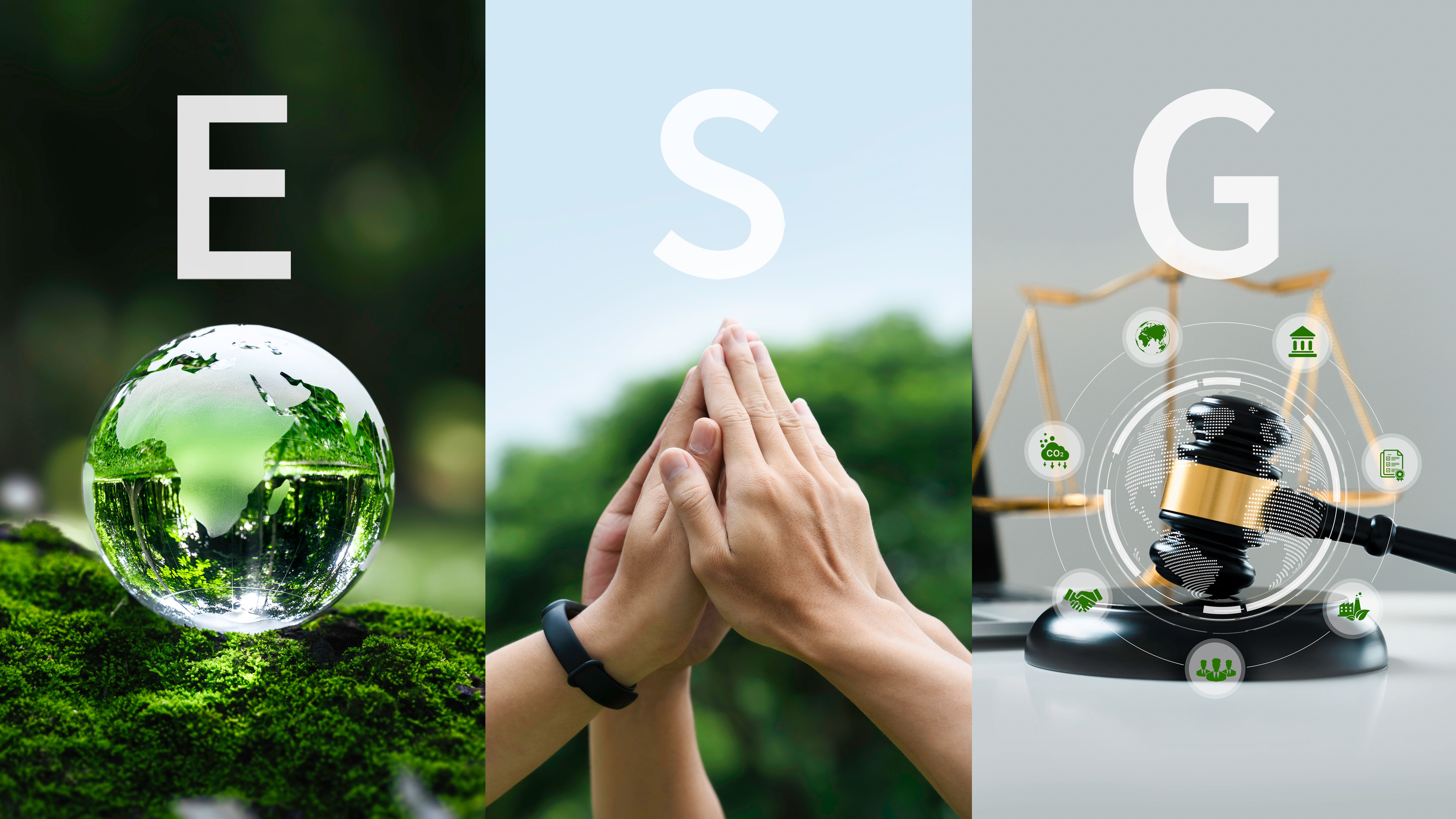 ESG environment social governance concept for finance and investment business and ethical business concepts. Green business investment strategy for sustainability. Sustainable corporation development.
