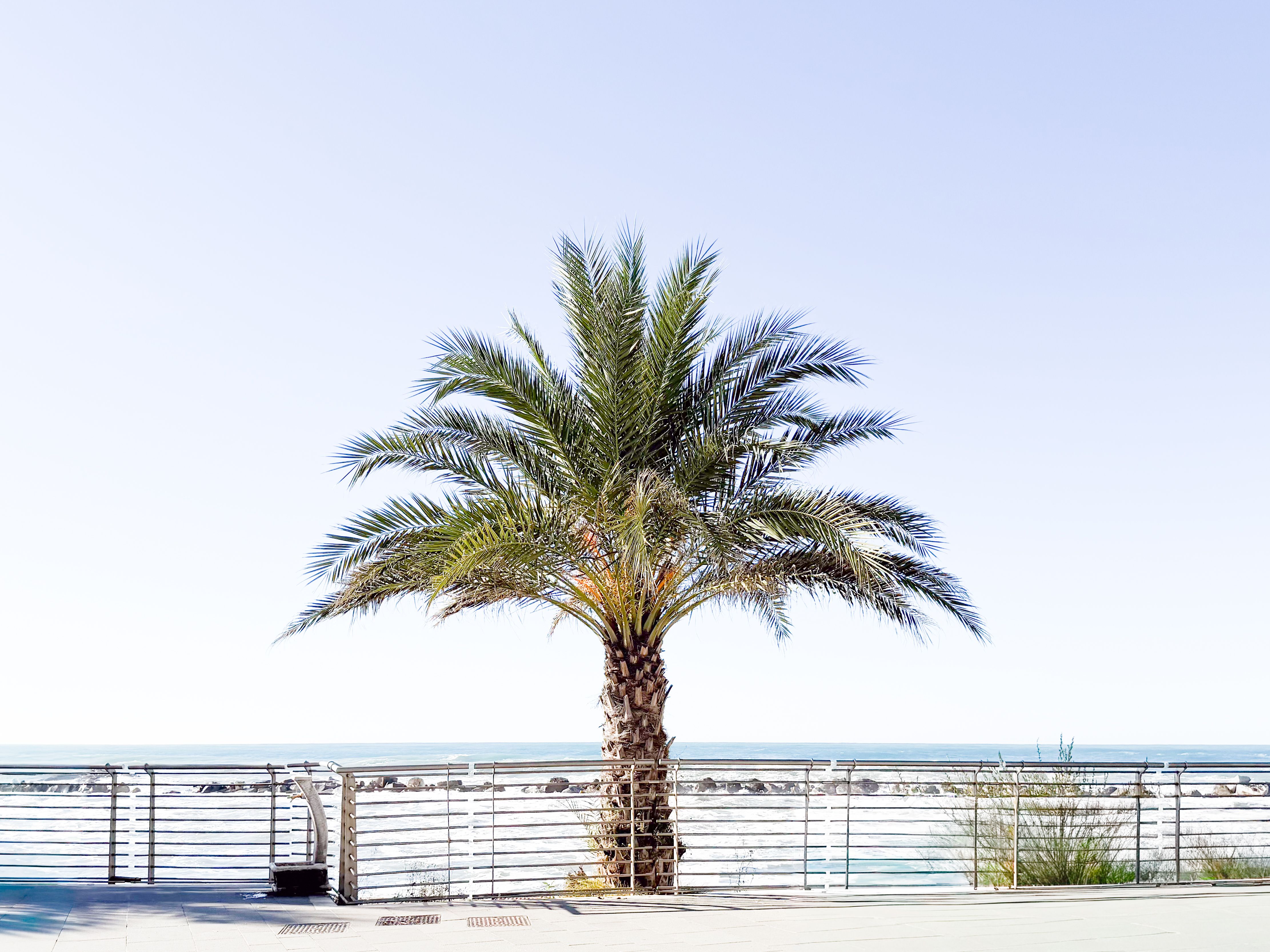 Italian minimalist photography