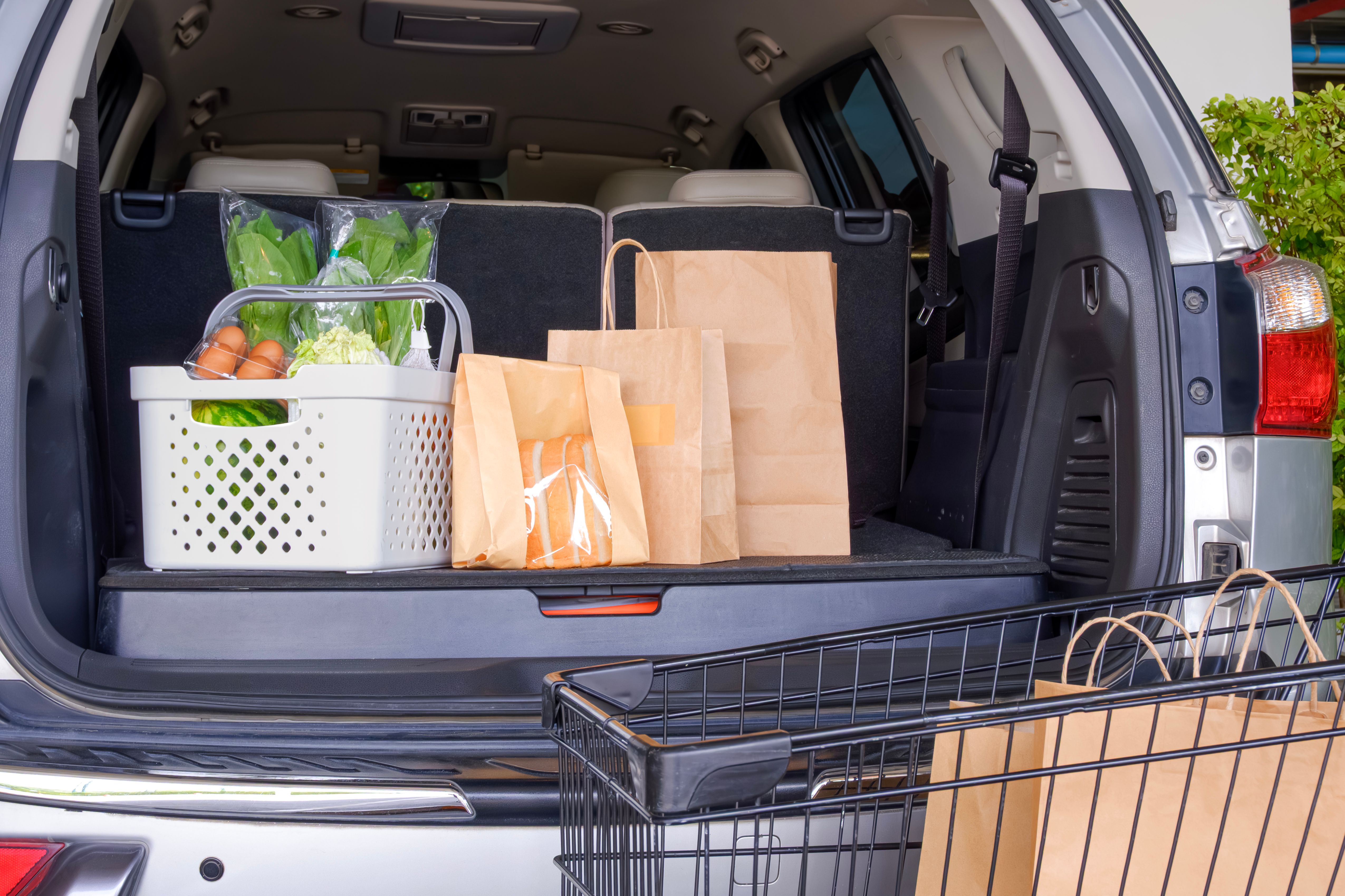 eco friendly car products