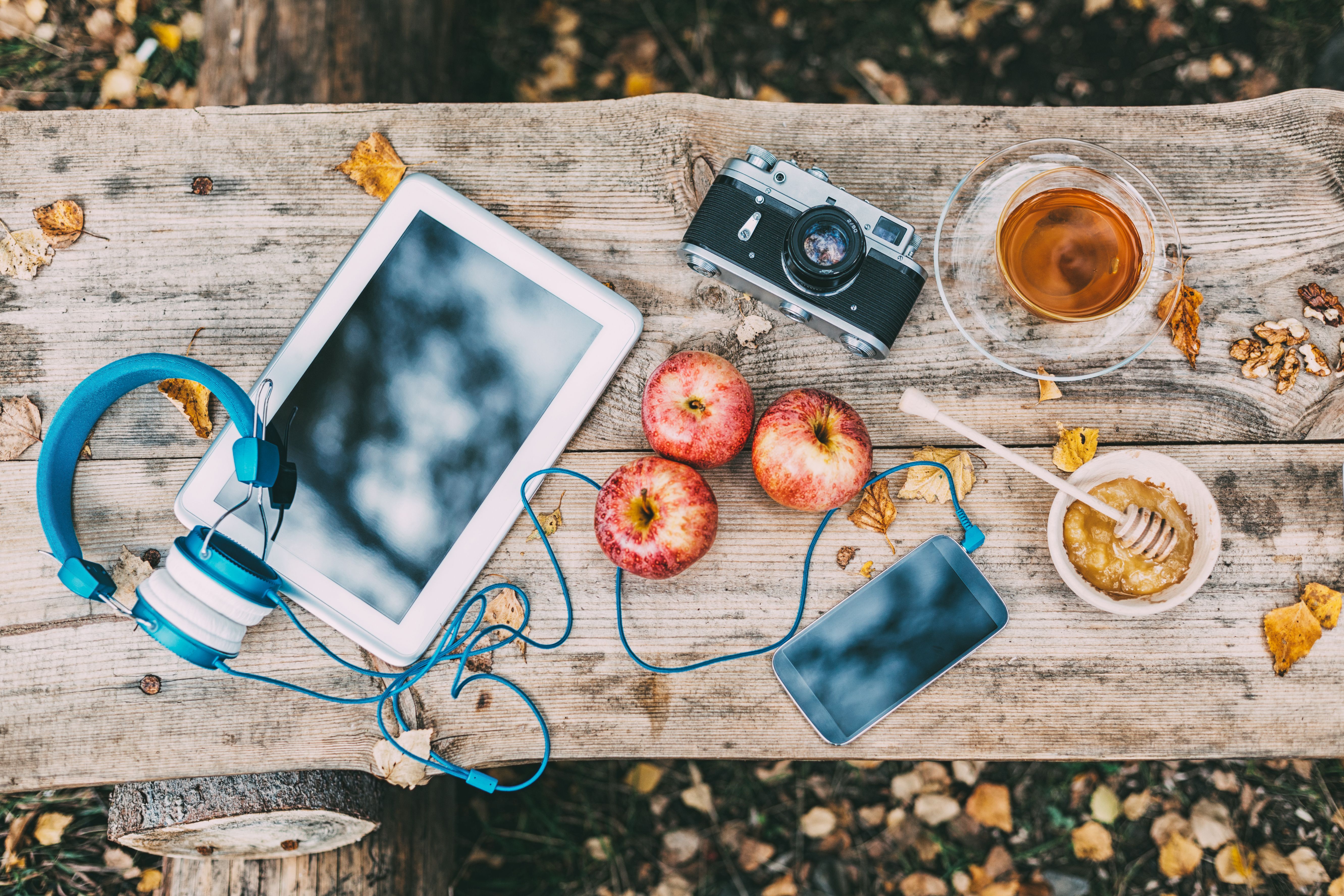 seasonal changes gadgets