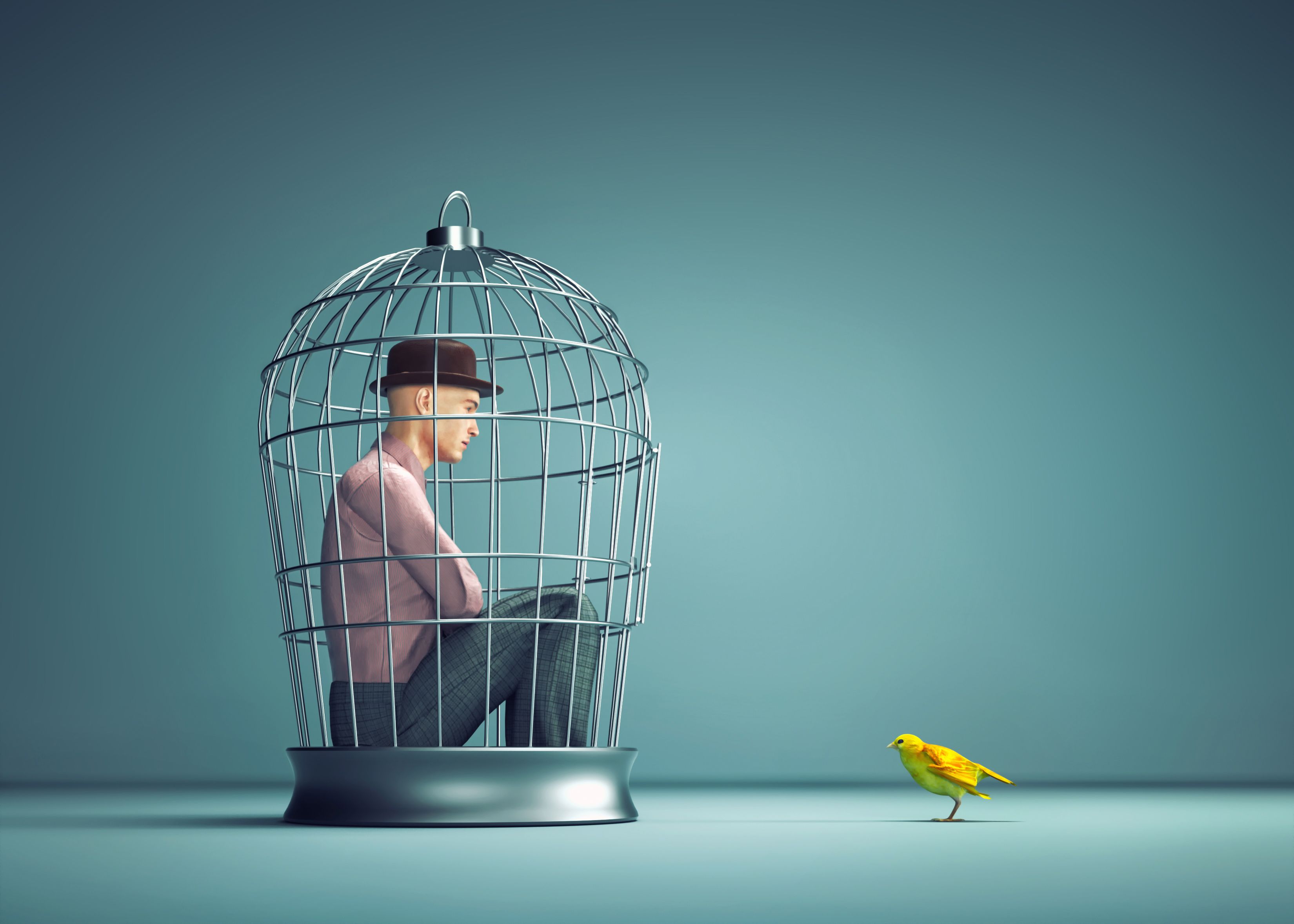 Man inside a bird cage with a yellow bird out. Man inside a bird cage with a yellow bird out.
