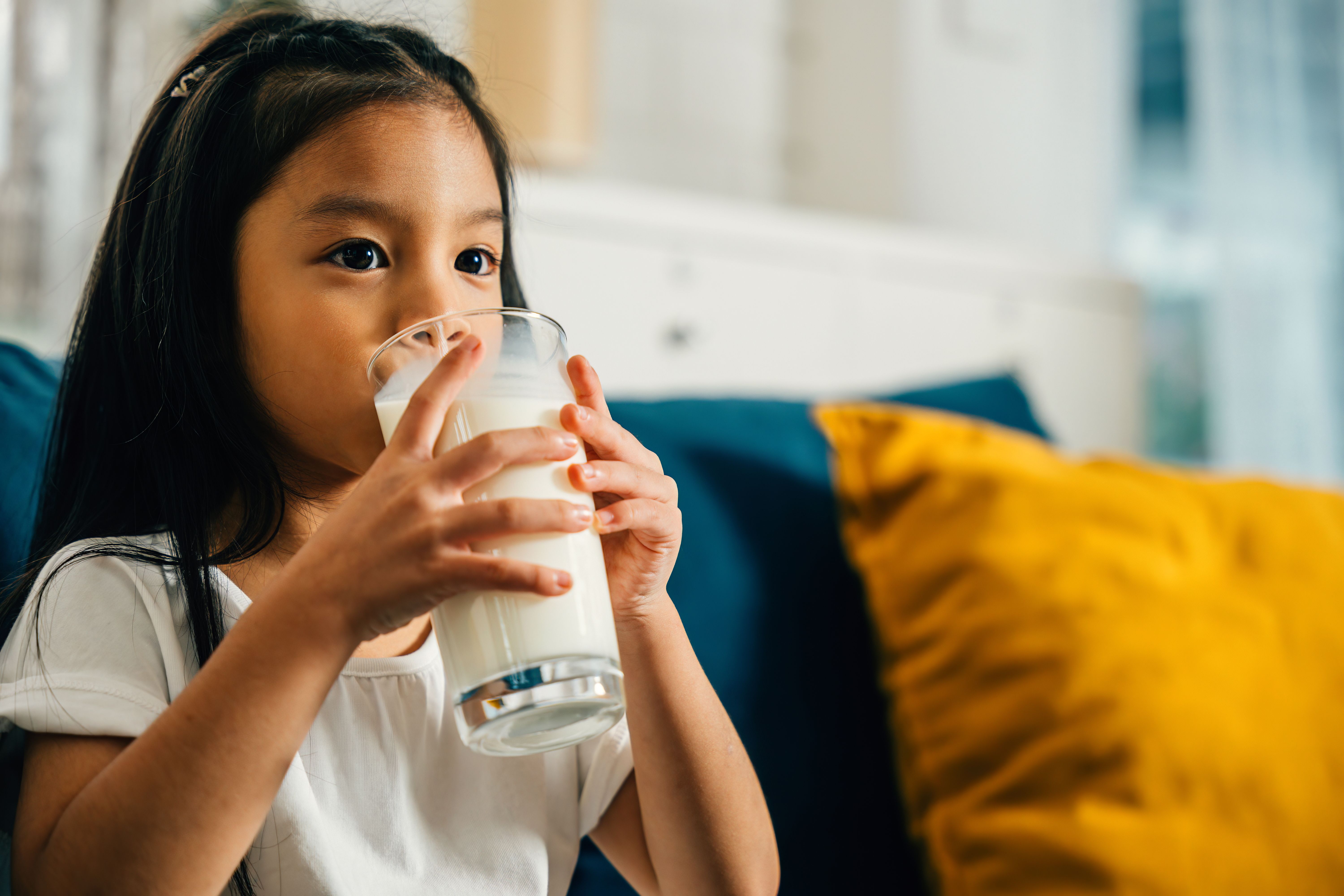 southeast asian ingredients