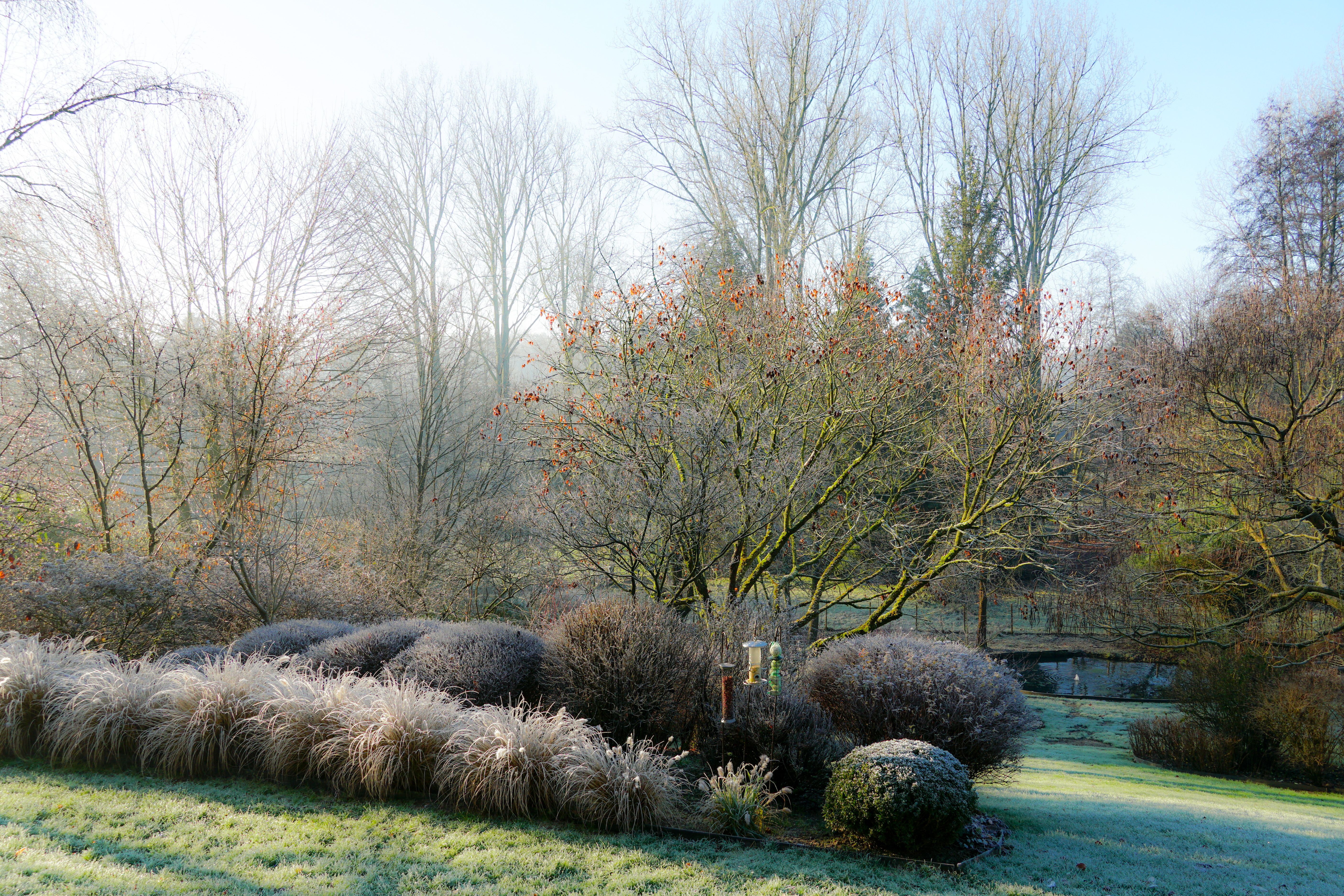entretien jardin hiver