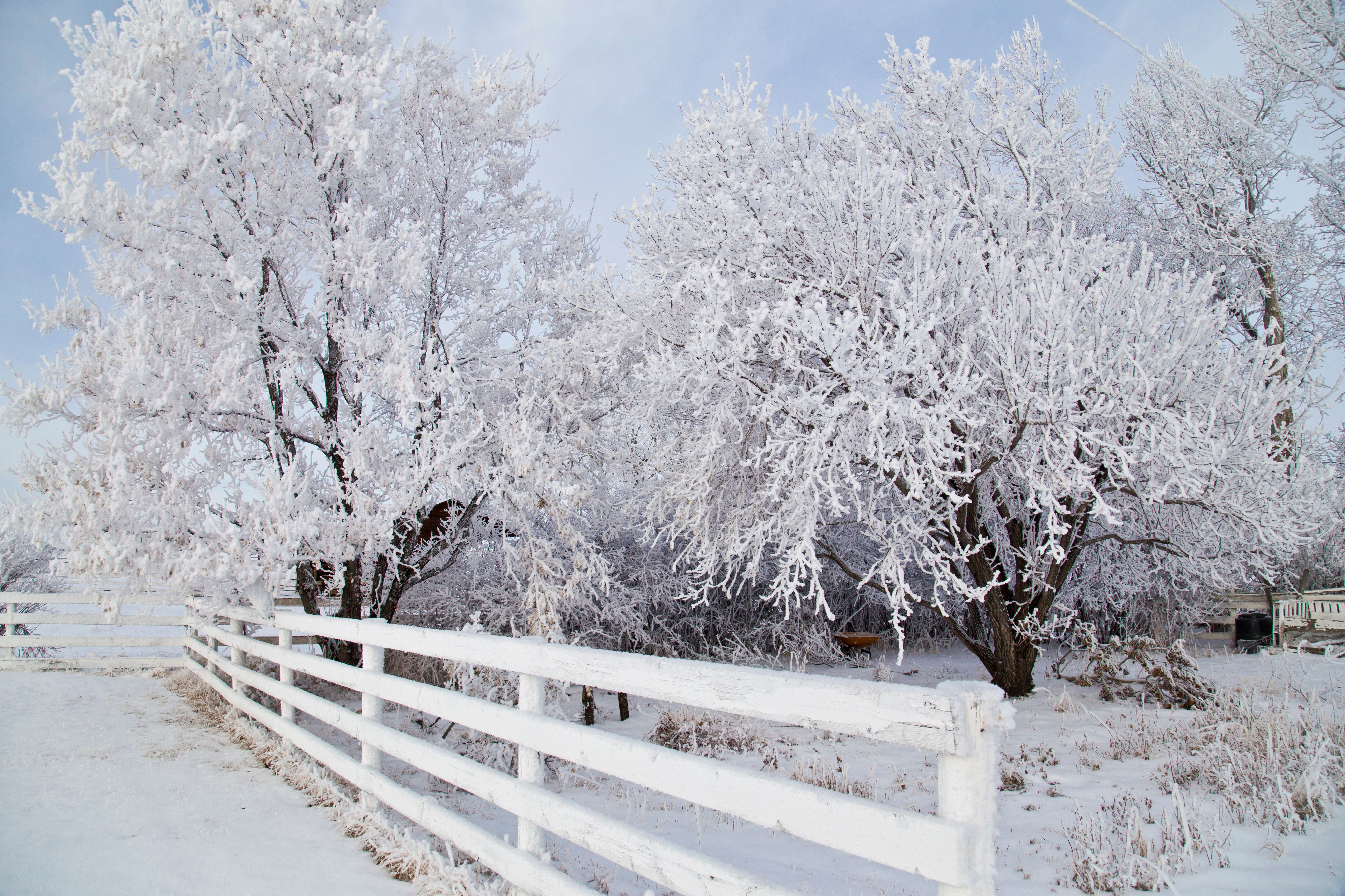 winter haus
