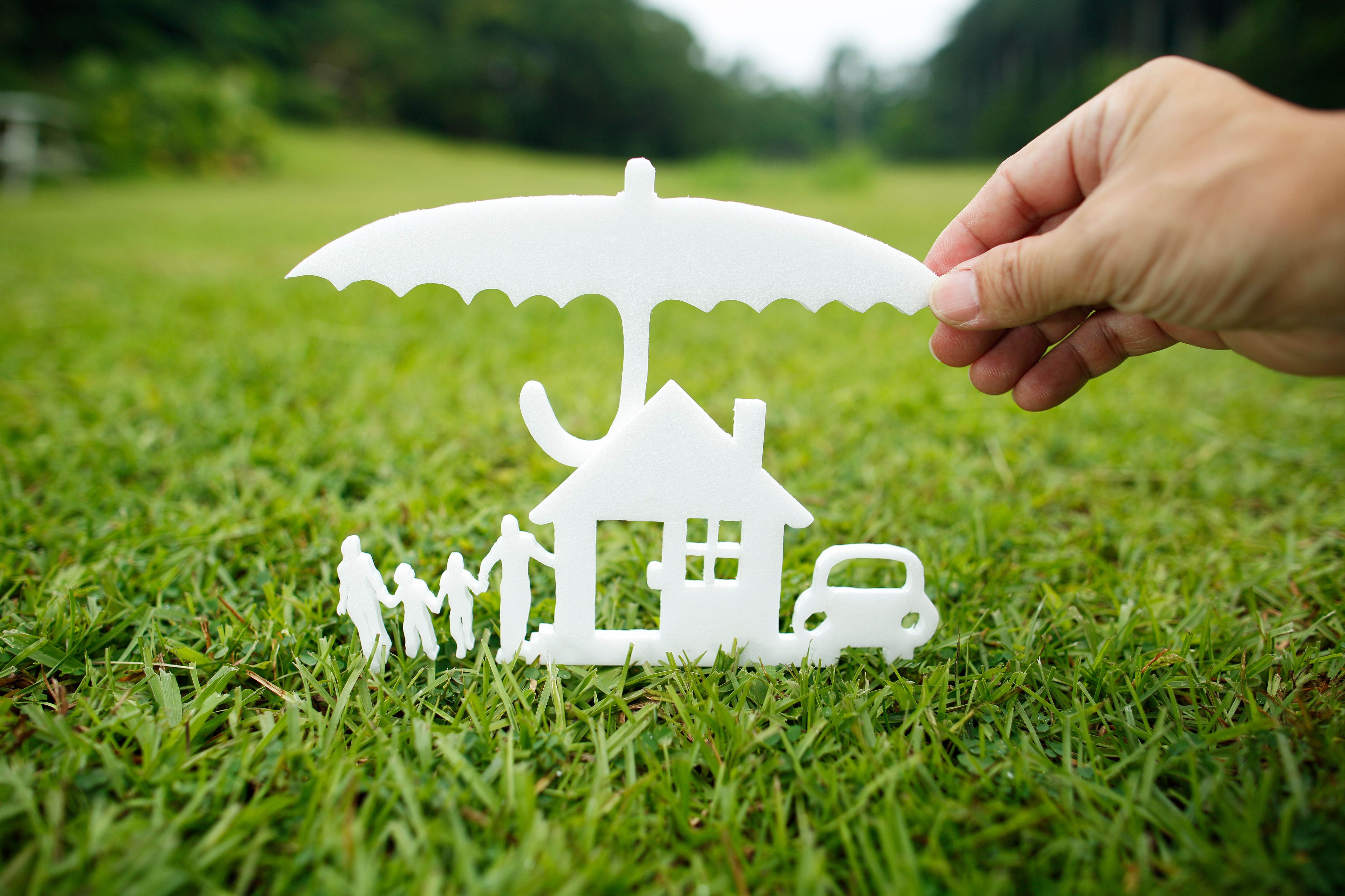 Protection of the family property