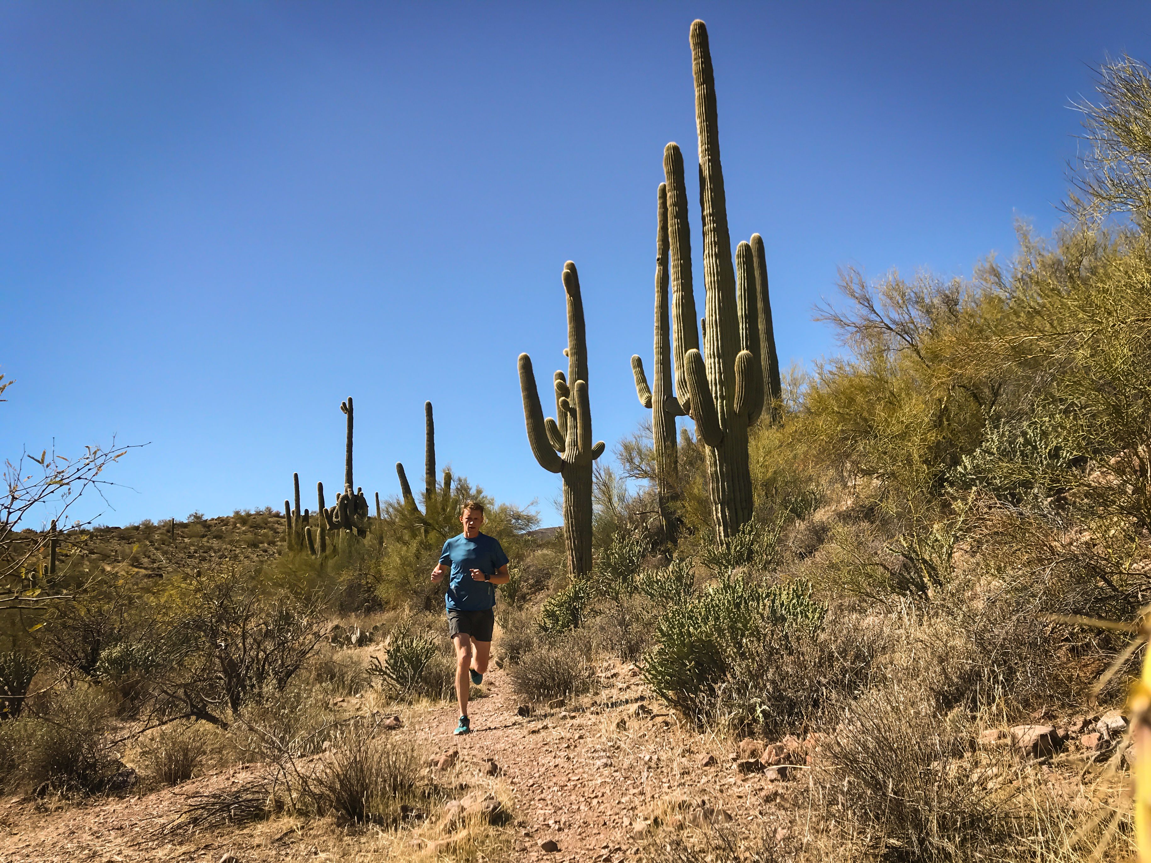 Push Performance Arizona Performance Arizona: Achieving Peak Fitness with Boxing