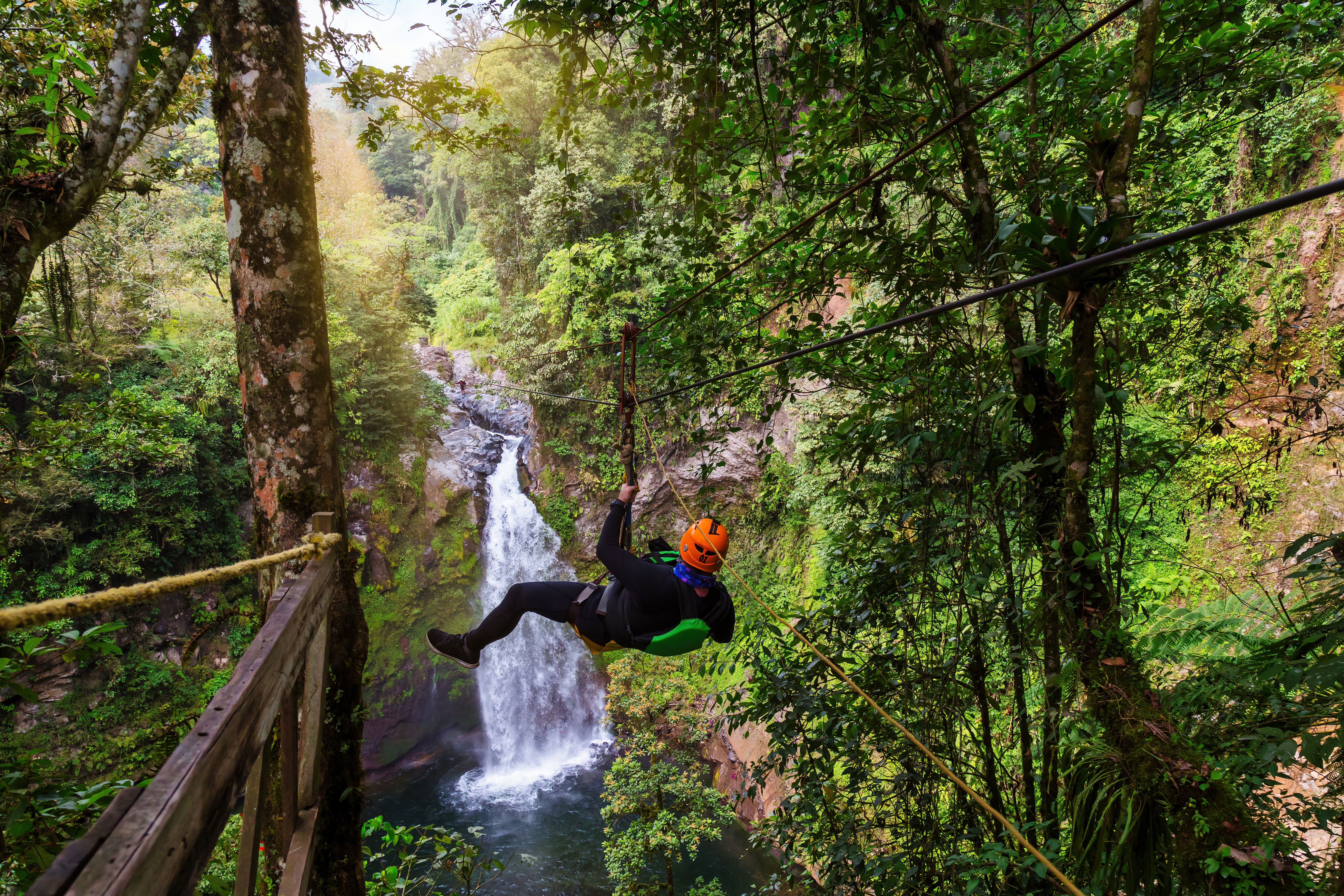 zipline rainforest