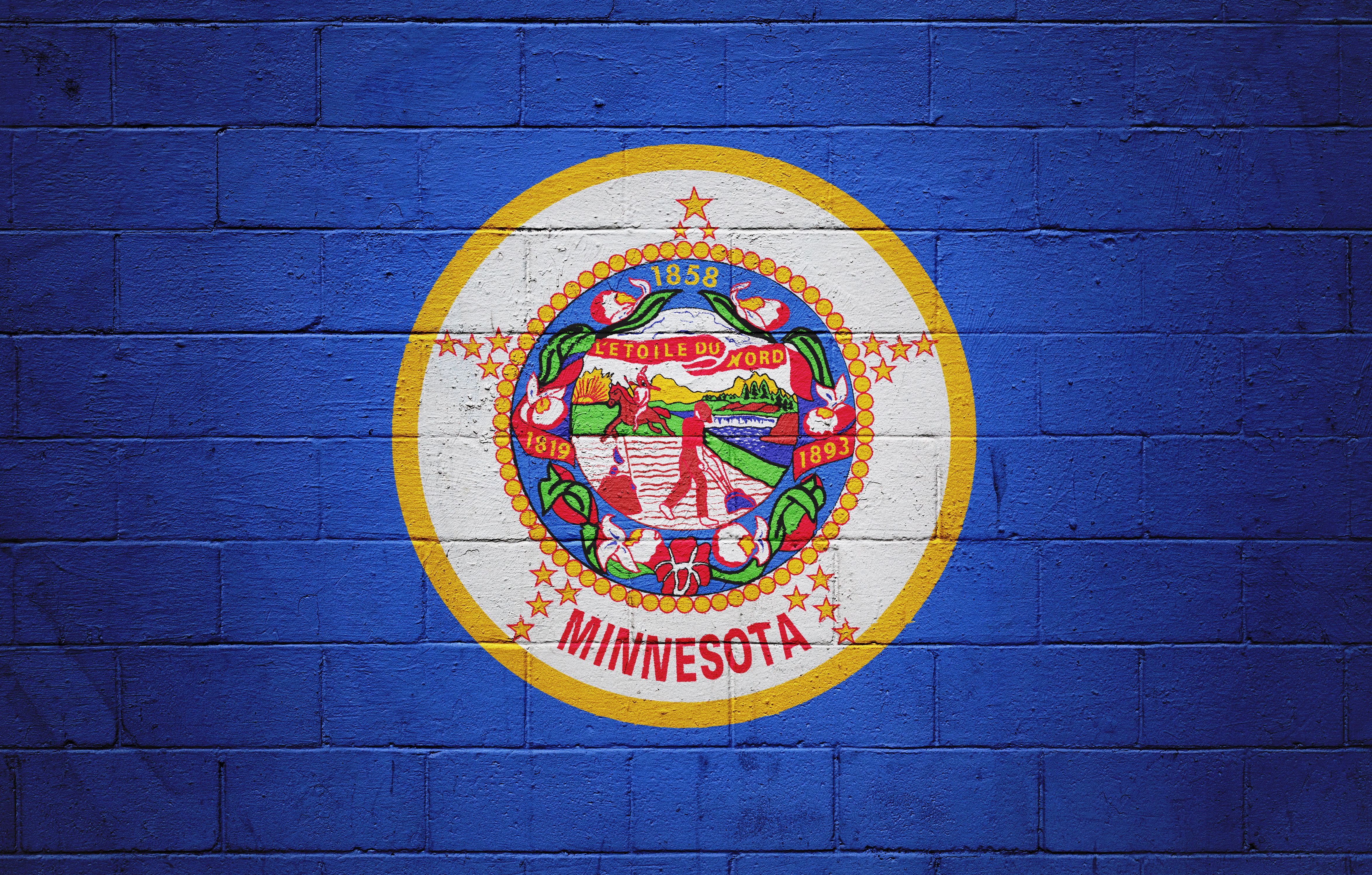 minnesota paint company