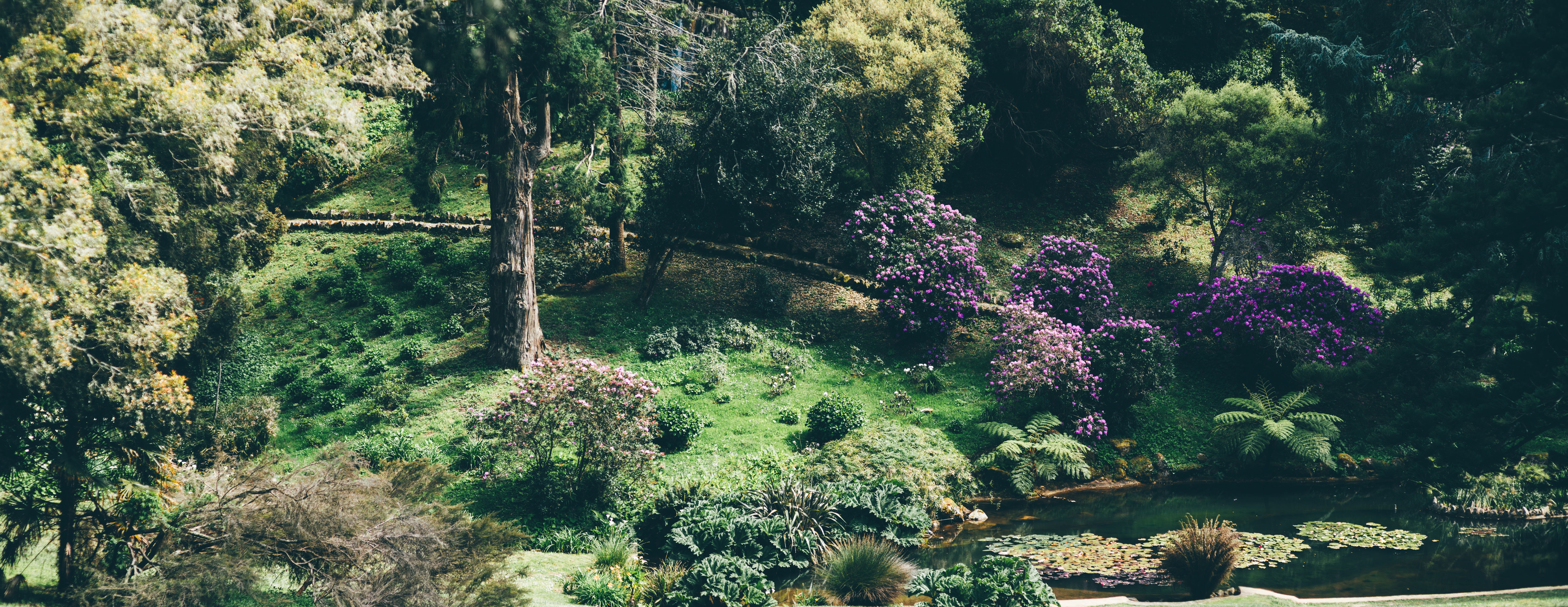 flower garden sintra